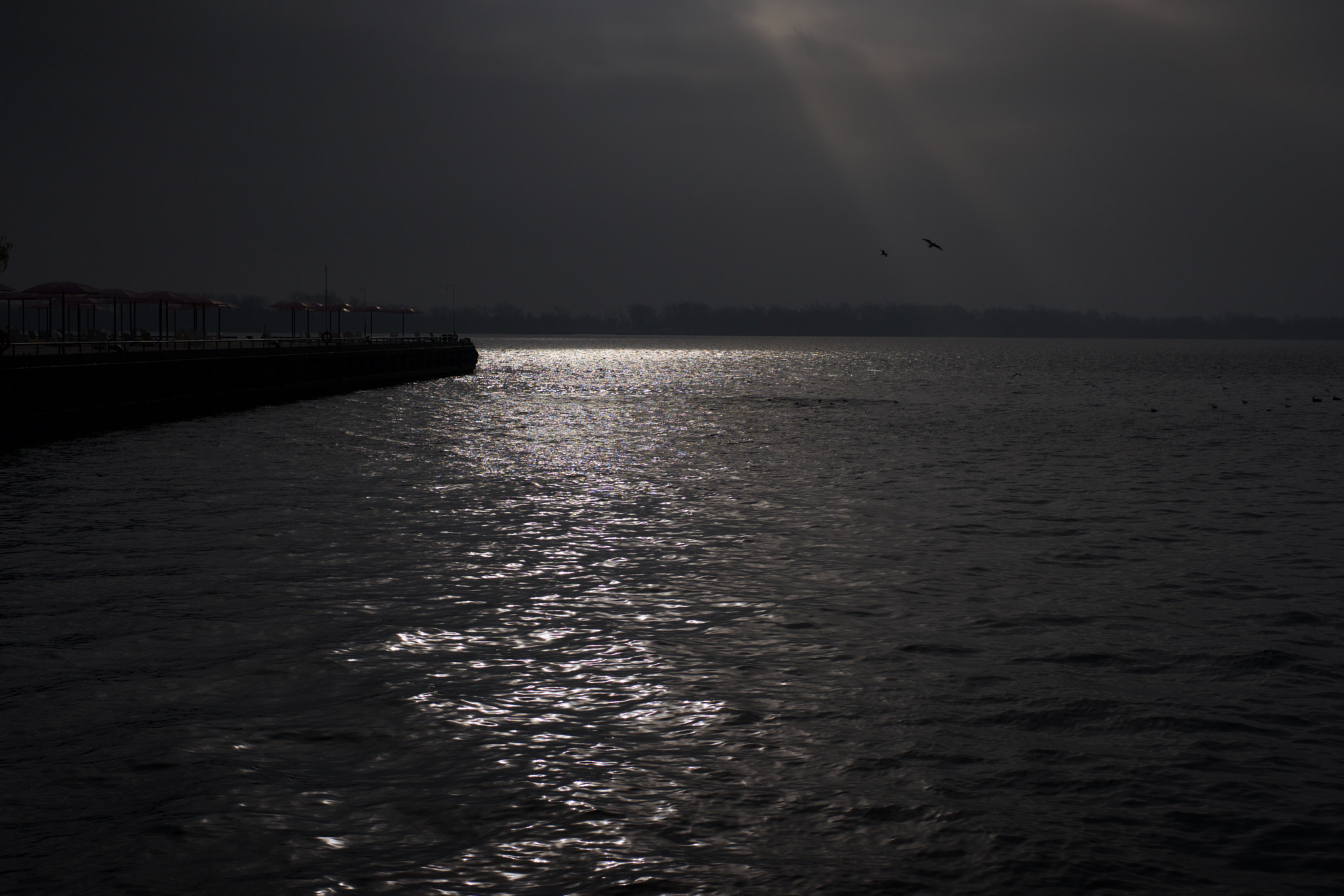 Sony a7 + Sony 50mm F1.4 sample photo. Leftover photography