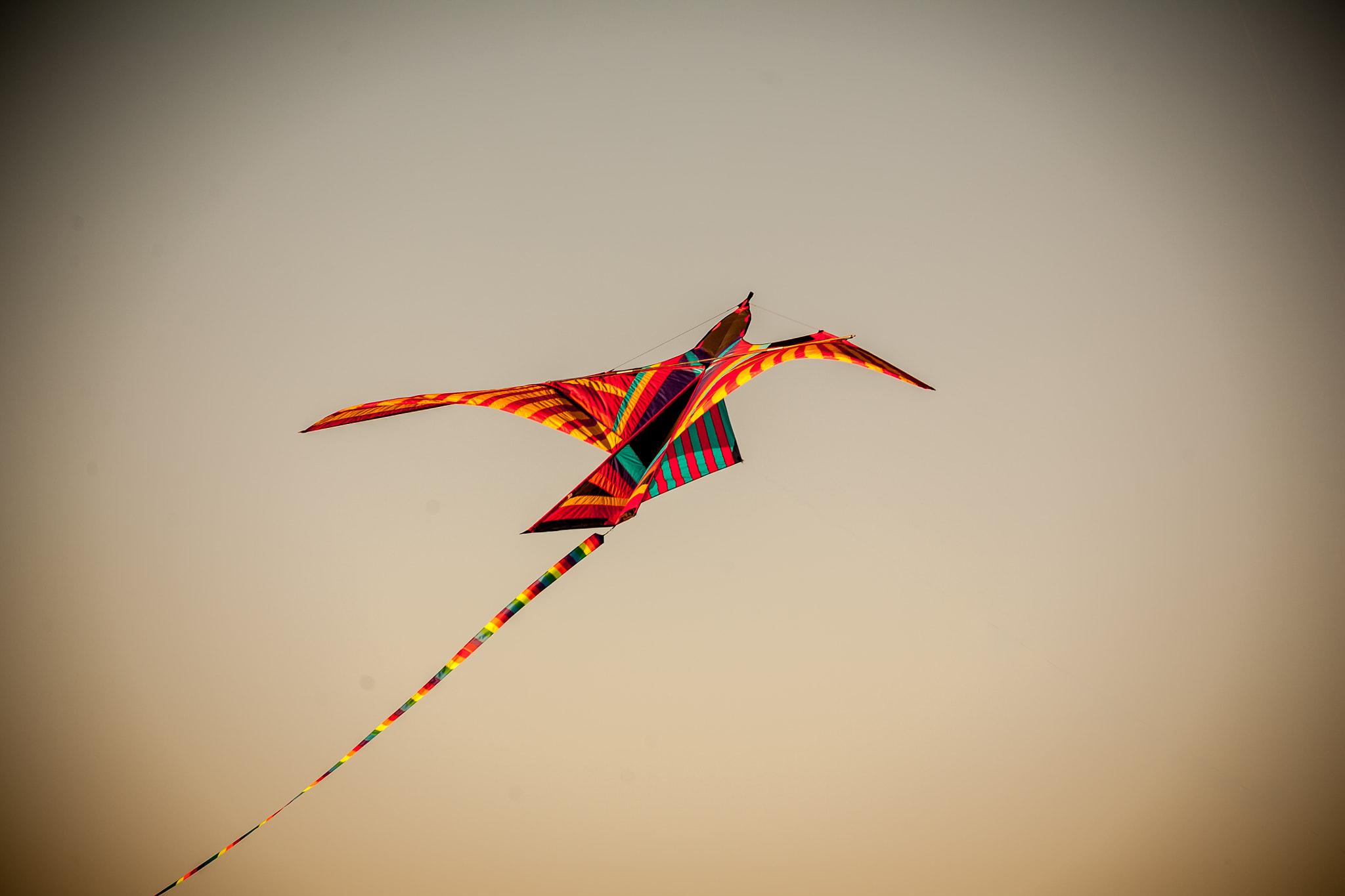 Canon EF 75-300mm f/4-5.6 USM sample photo. A clockwork bird photography