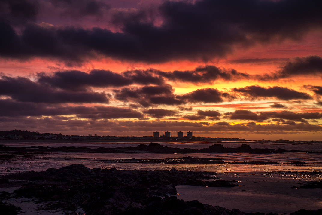 Canon EOS 6D + Sigma 50mm f/2.8 EX sample photo. Harve des pas sunrise photography