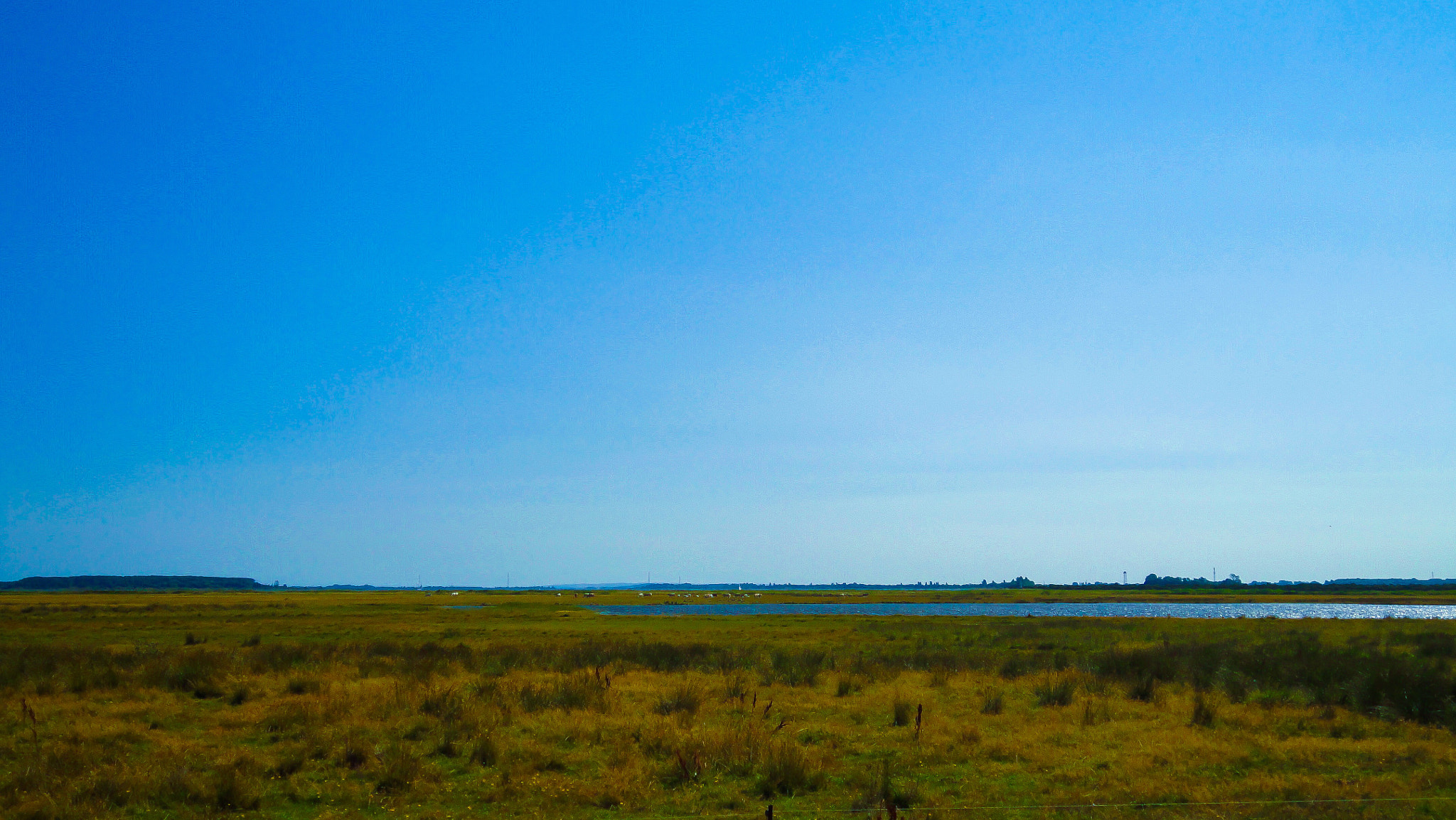 Sony DSC-W380 sample photo. Field under a blue sky. photography