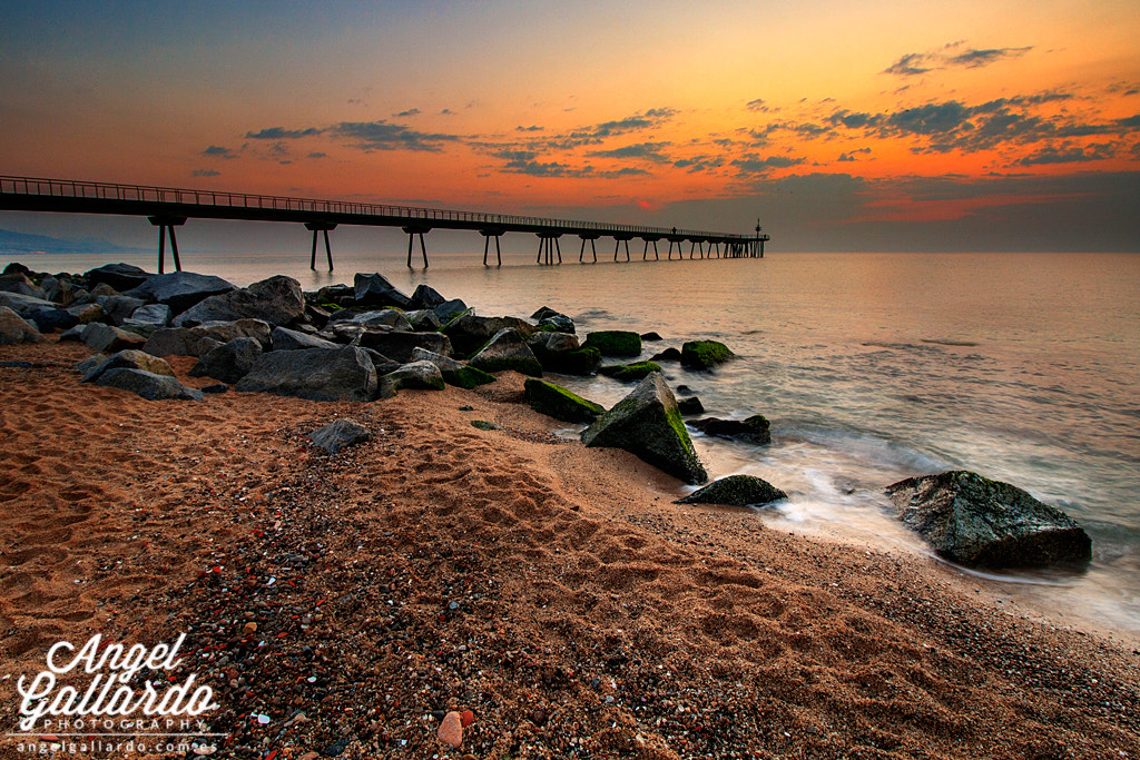 Canon EF-S 10-18mm F4.5–5.6 IS STM sample photo. Pont del petroli photography