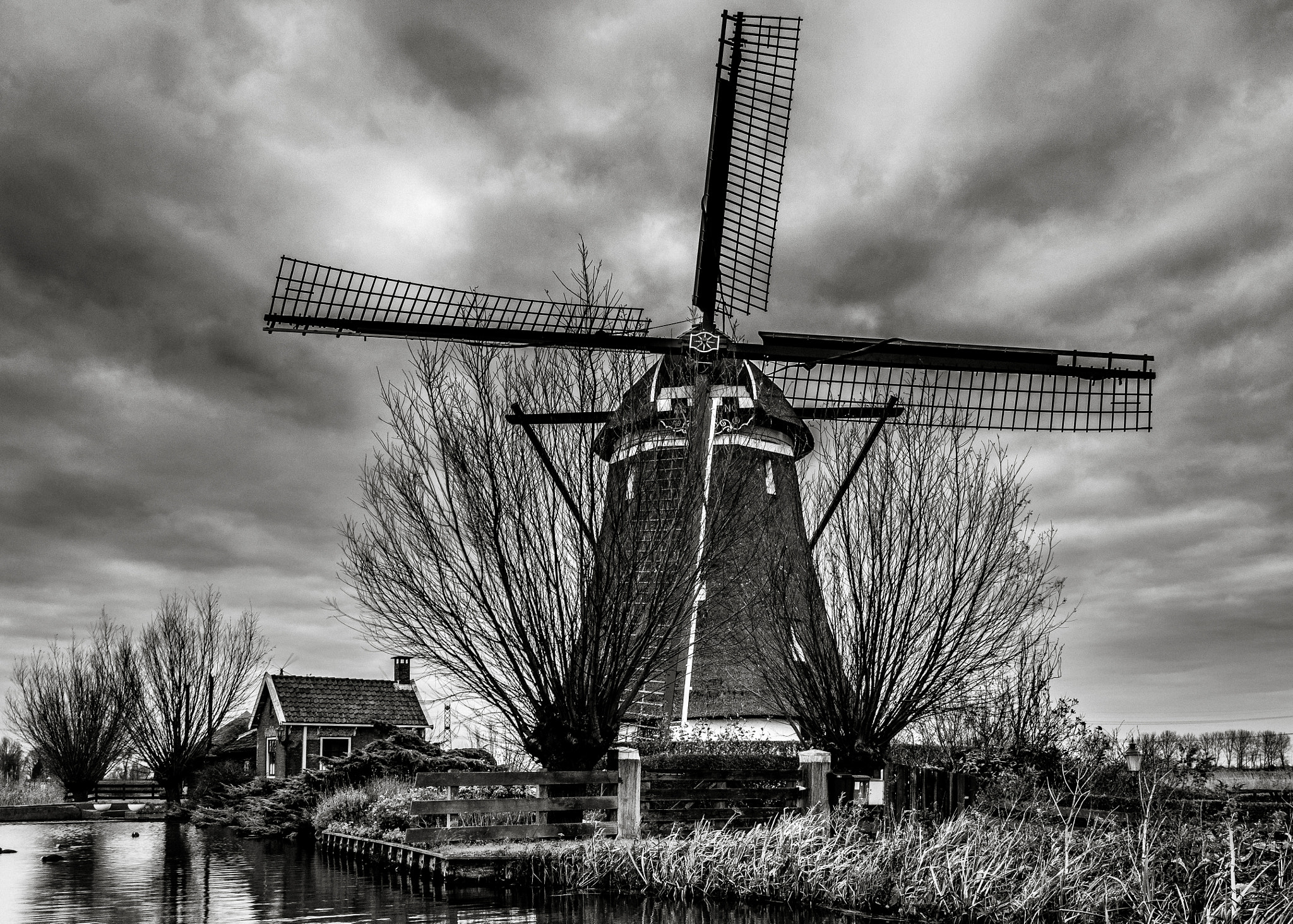 Sony Alpha NEX-5R + Sigma 19mm F2.8 EX DN sample photo. Beautiful holland photography