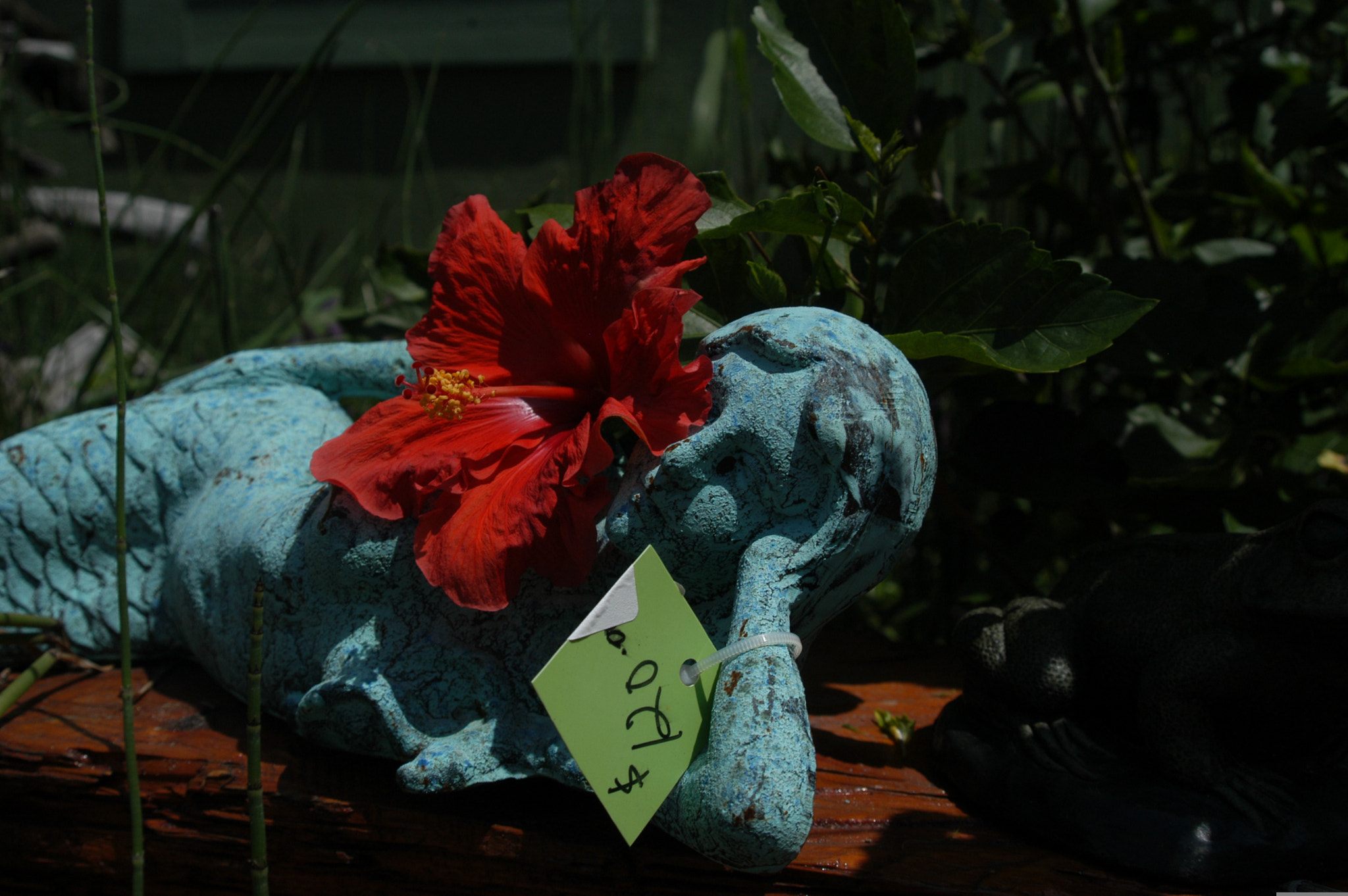 Nikon D100 sample photo. Seagreen photography