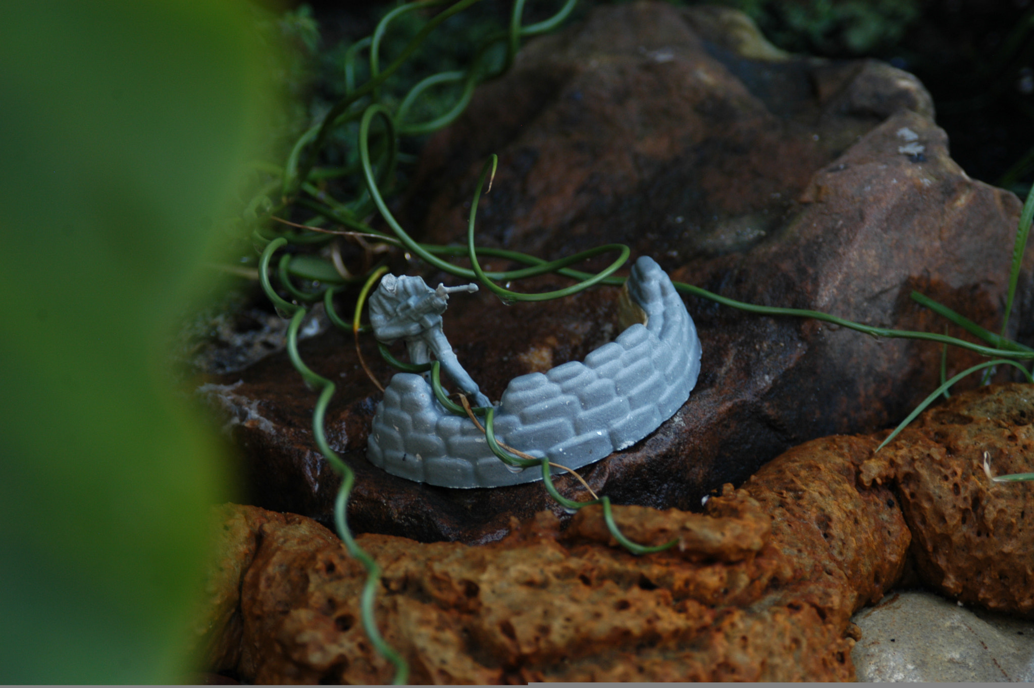Nikon D100 sample photo. Seagreen photography