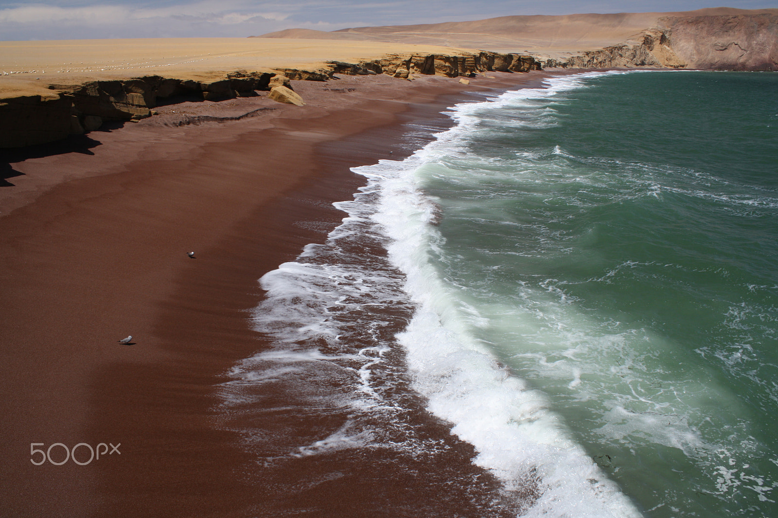 Canon EOS 1000D (EOS Digital Rebel XS / EOS Kiss F) + Canon EF 28mm F2.8 sample photo. Paracas national park photography