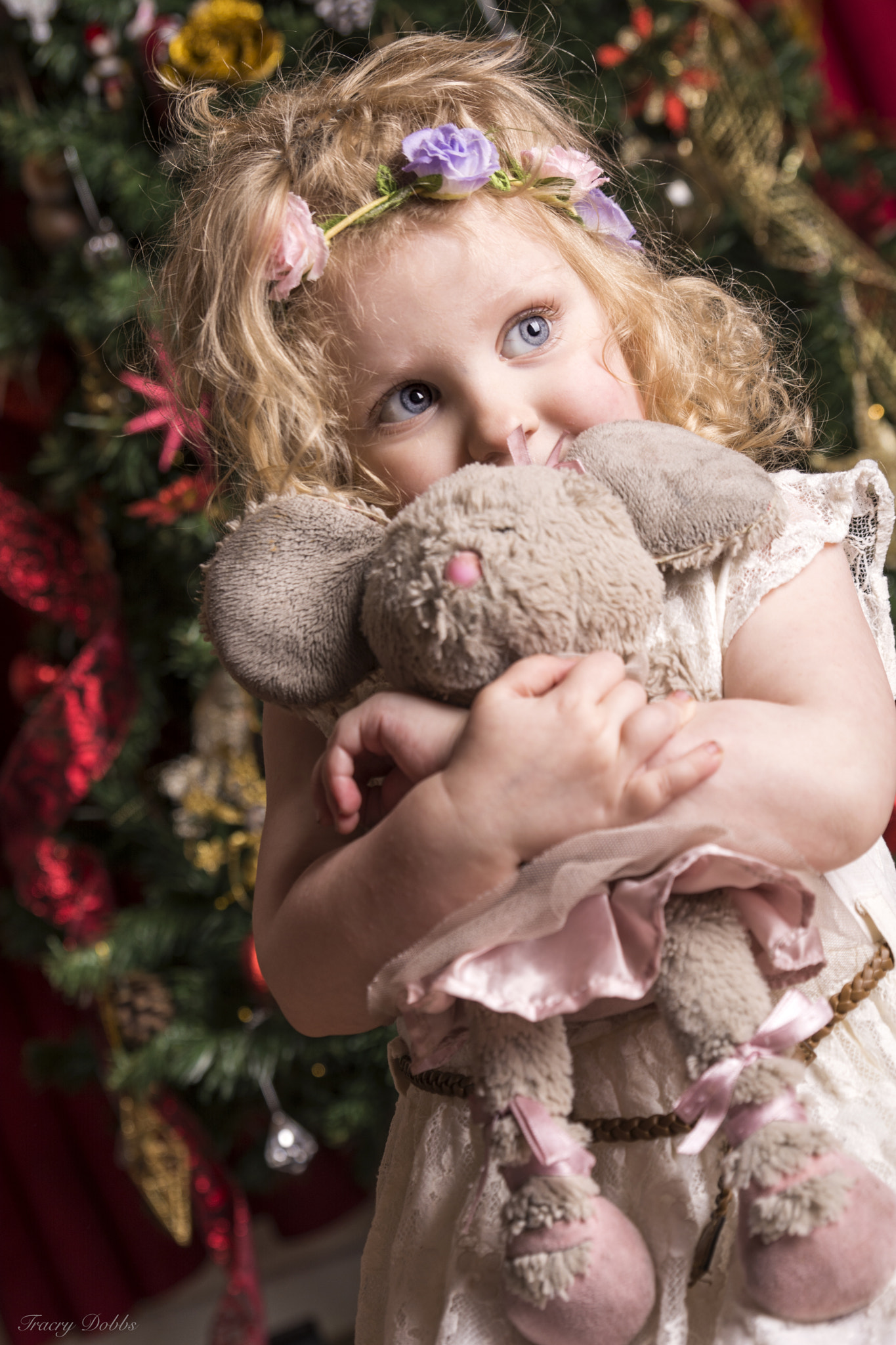 Tamron SP 24-70mm F2.8 Di VC USD sample photo. Phoebe and ellie photography
