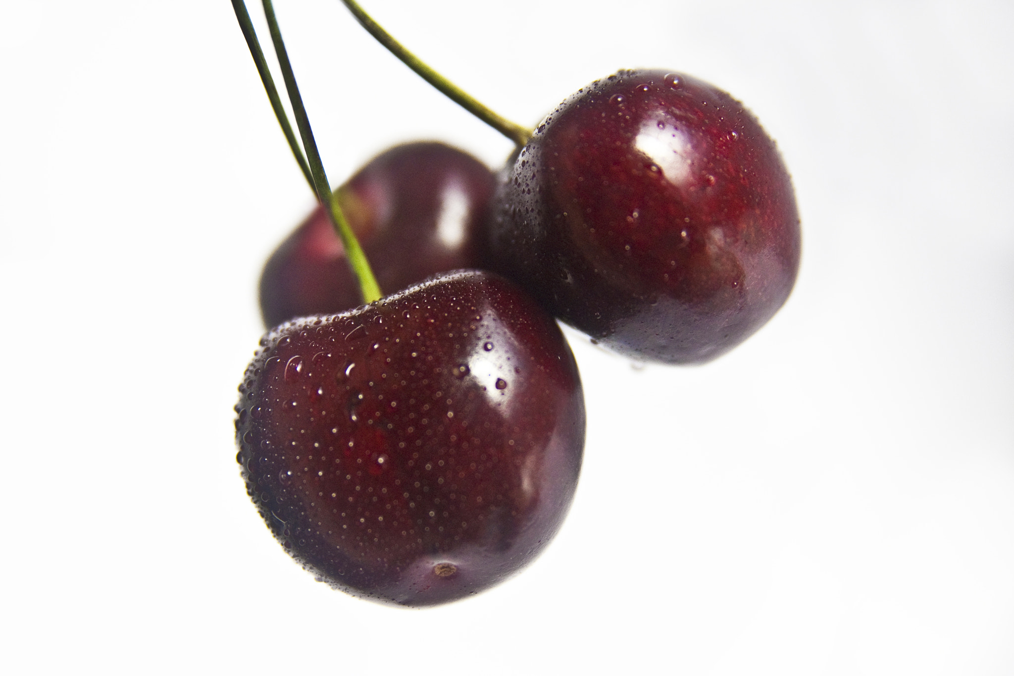 Sigma 18-50mm f/2.8 Macro sample photo. Cherry bomb photography