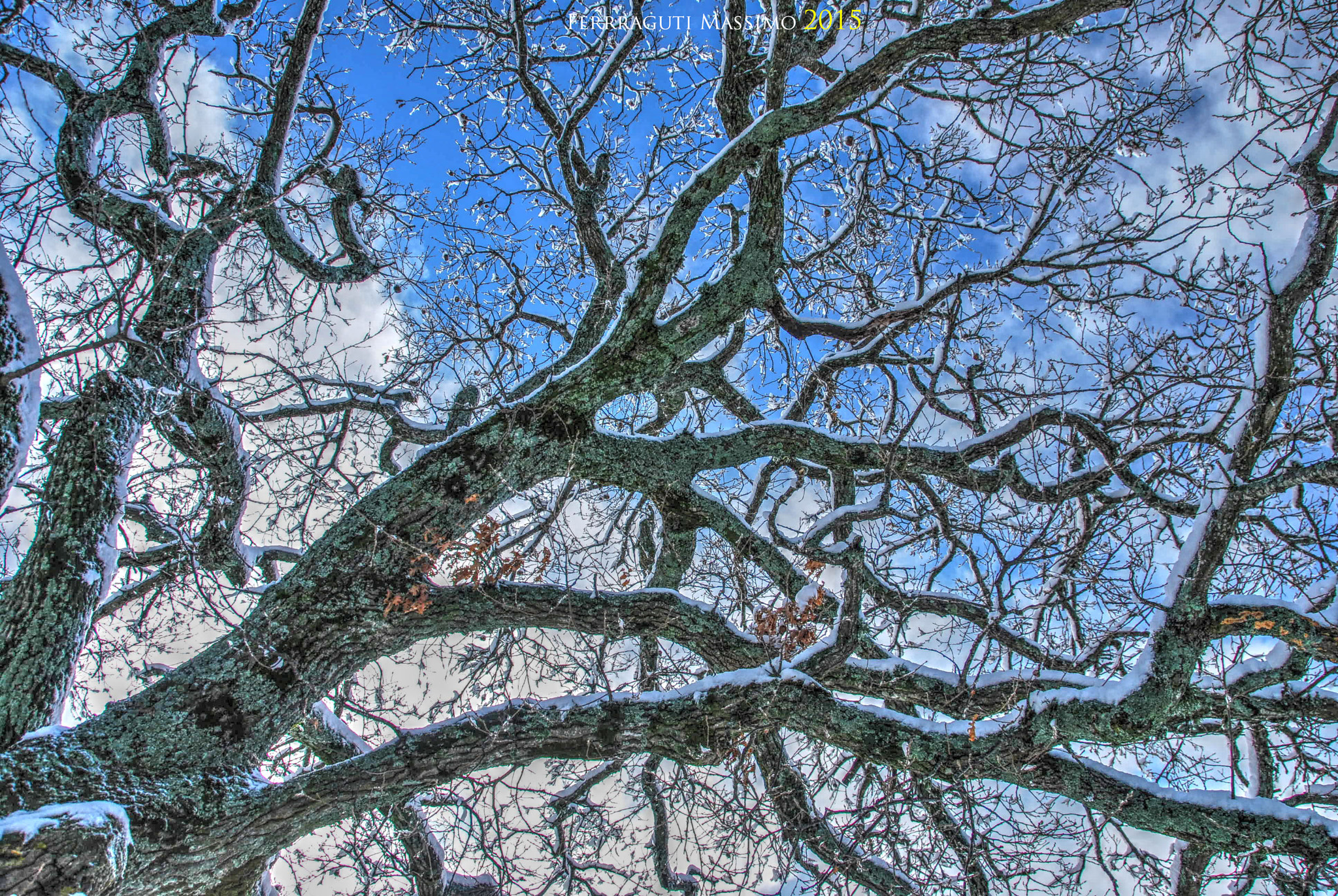 18,0-200,0 mm f/3,5-5,6 sample photo. Neve...casentino photography