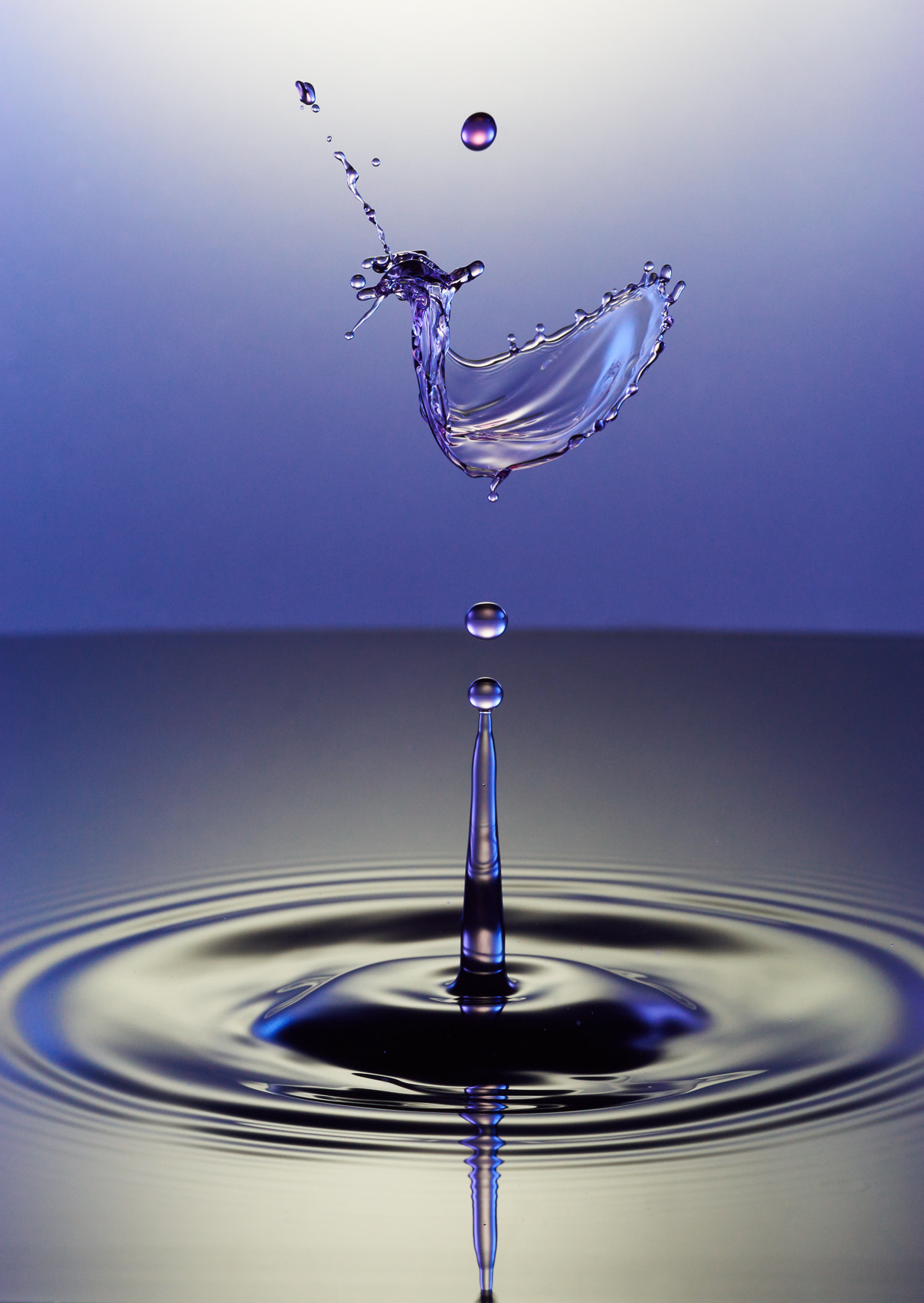 90mm F2.8 sample photo. Whiplash photography