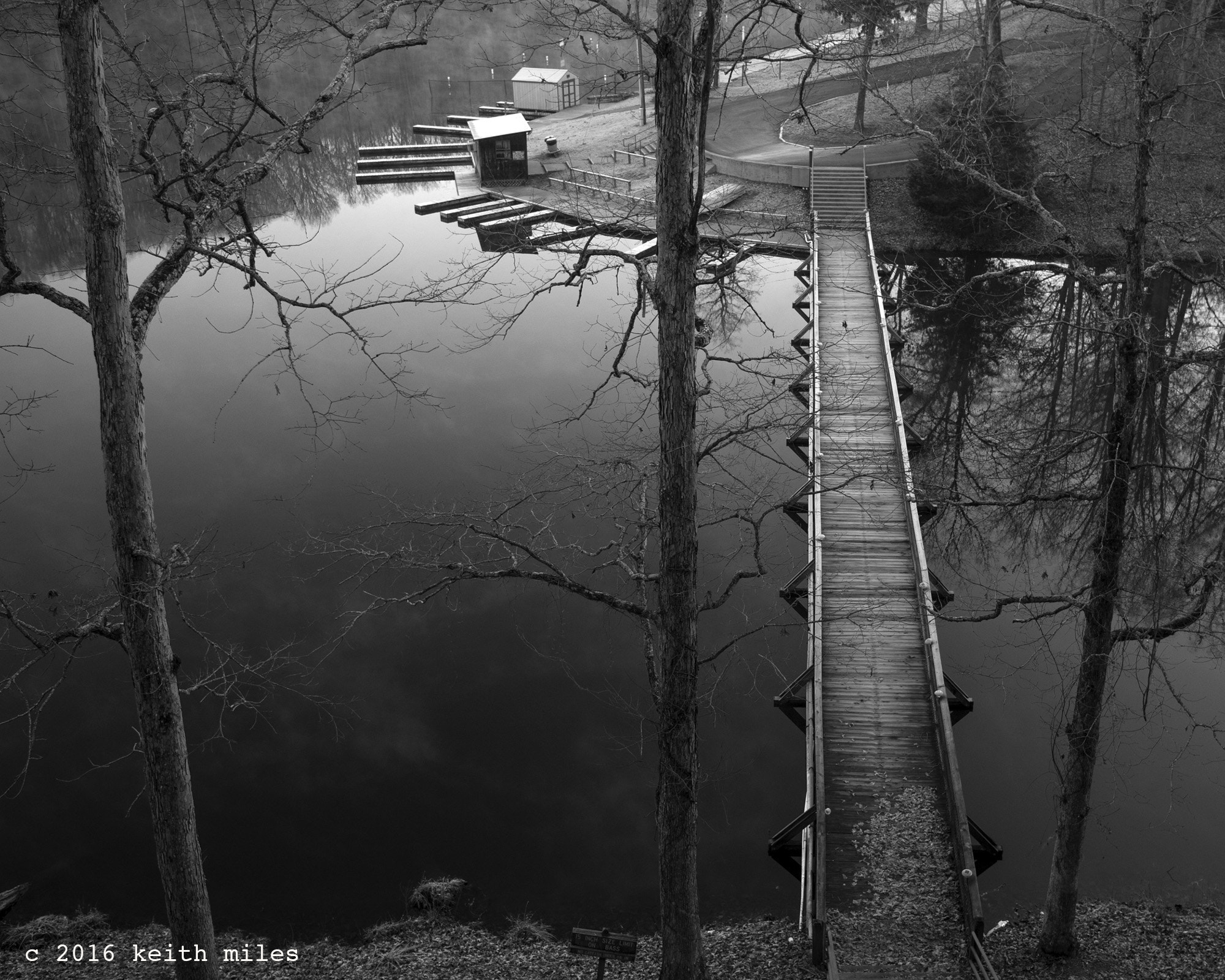 Nikon AF-S Nikkor 24-70mm F2.8E ED VR sample photo. Montgomery bell state park photography