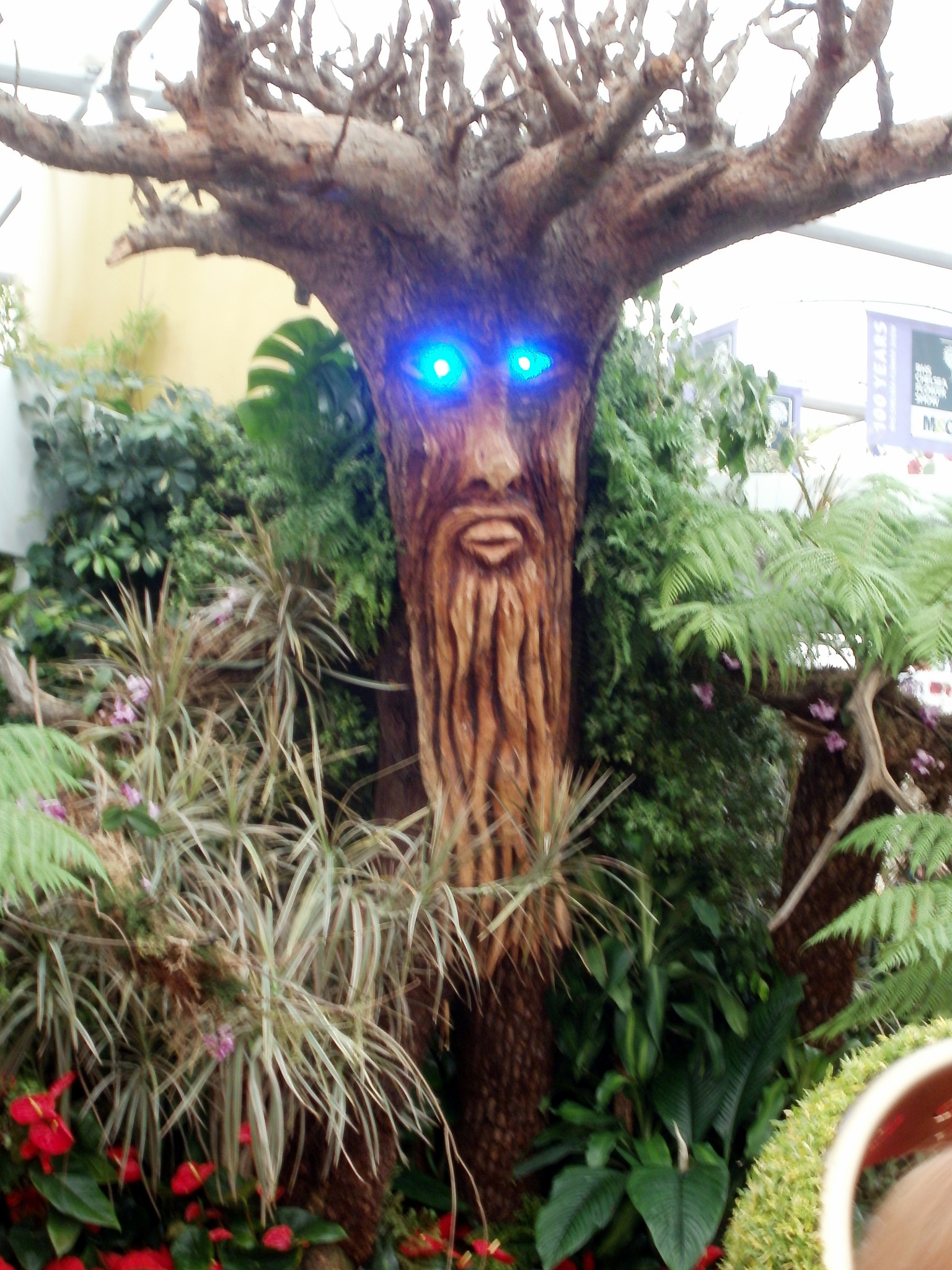 Olympus FE47,X43 sample photo. Hogwarts tree photography