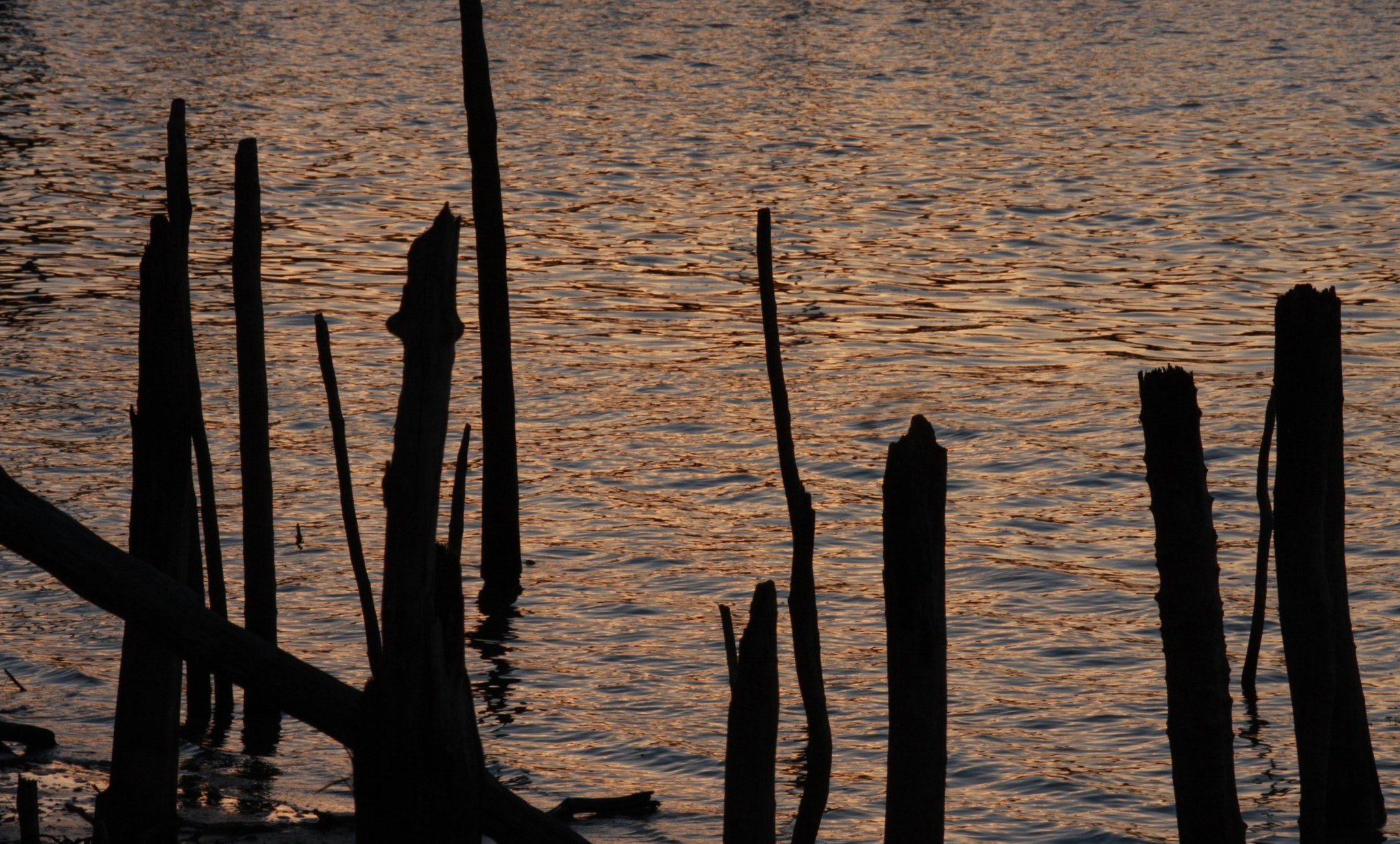 Sigma 70-300mm F4-5.6 APO DG Macro sample photo. 22409138662.jpg photography
