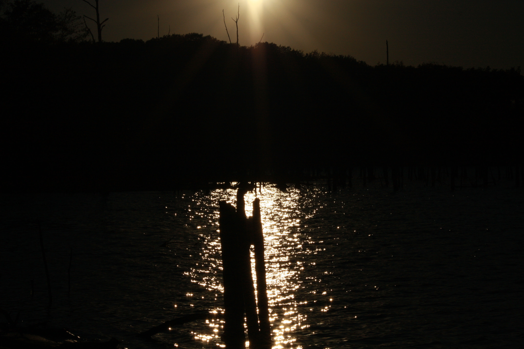 Sigma 70-300mm F4-5.6 APO DG Macro sample photo. 22234636358.jpg photography