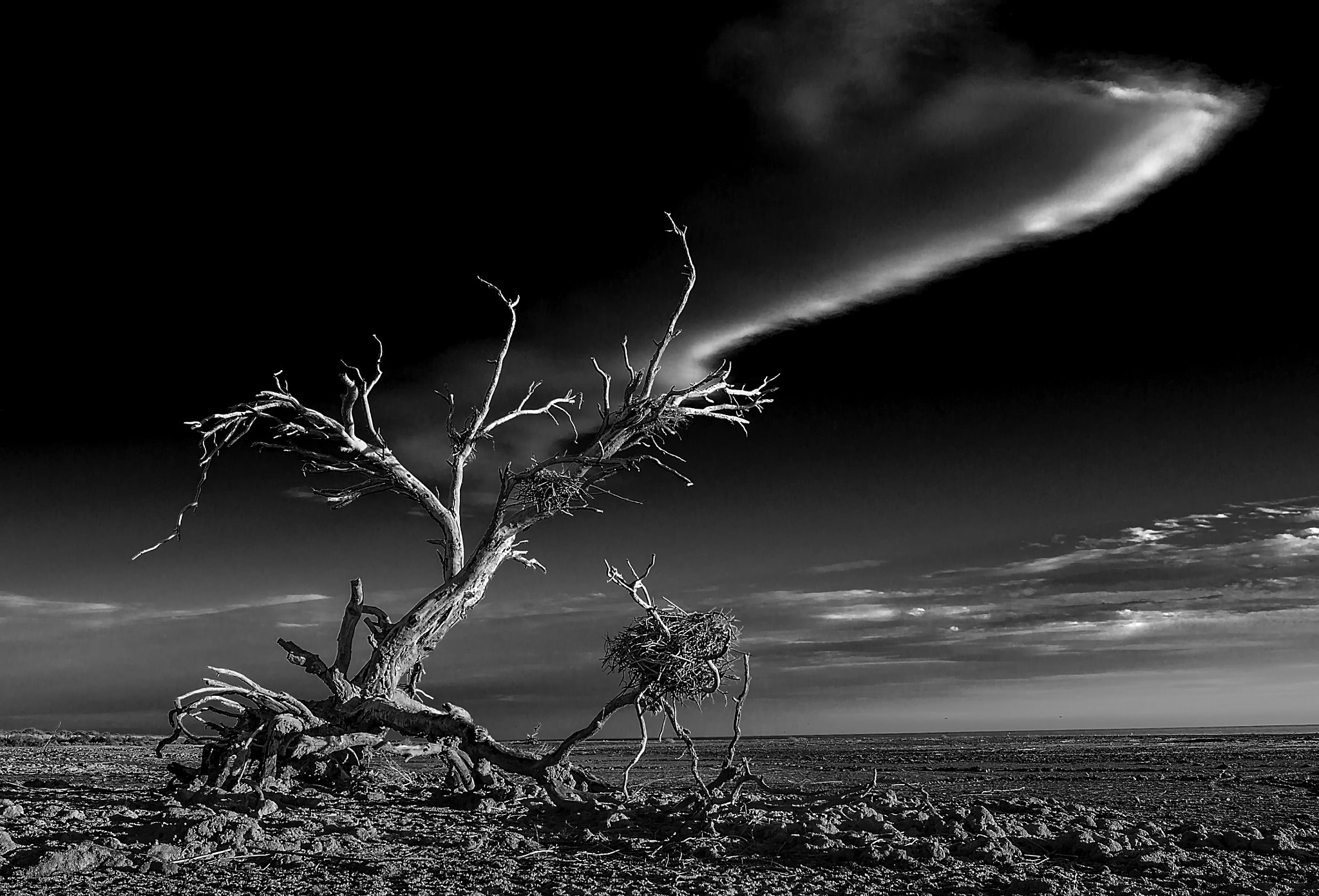 Super-Elmar-S 24 sample photo. Decay photography