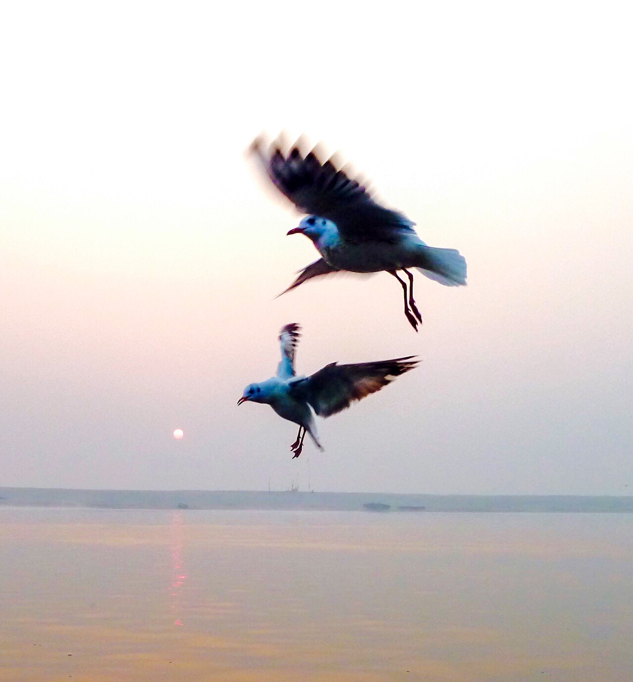 Leica V-Lux 20 sample photo. Early one morning at the ganga river photography