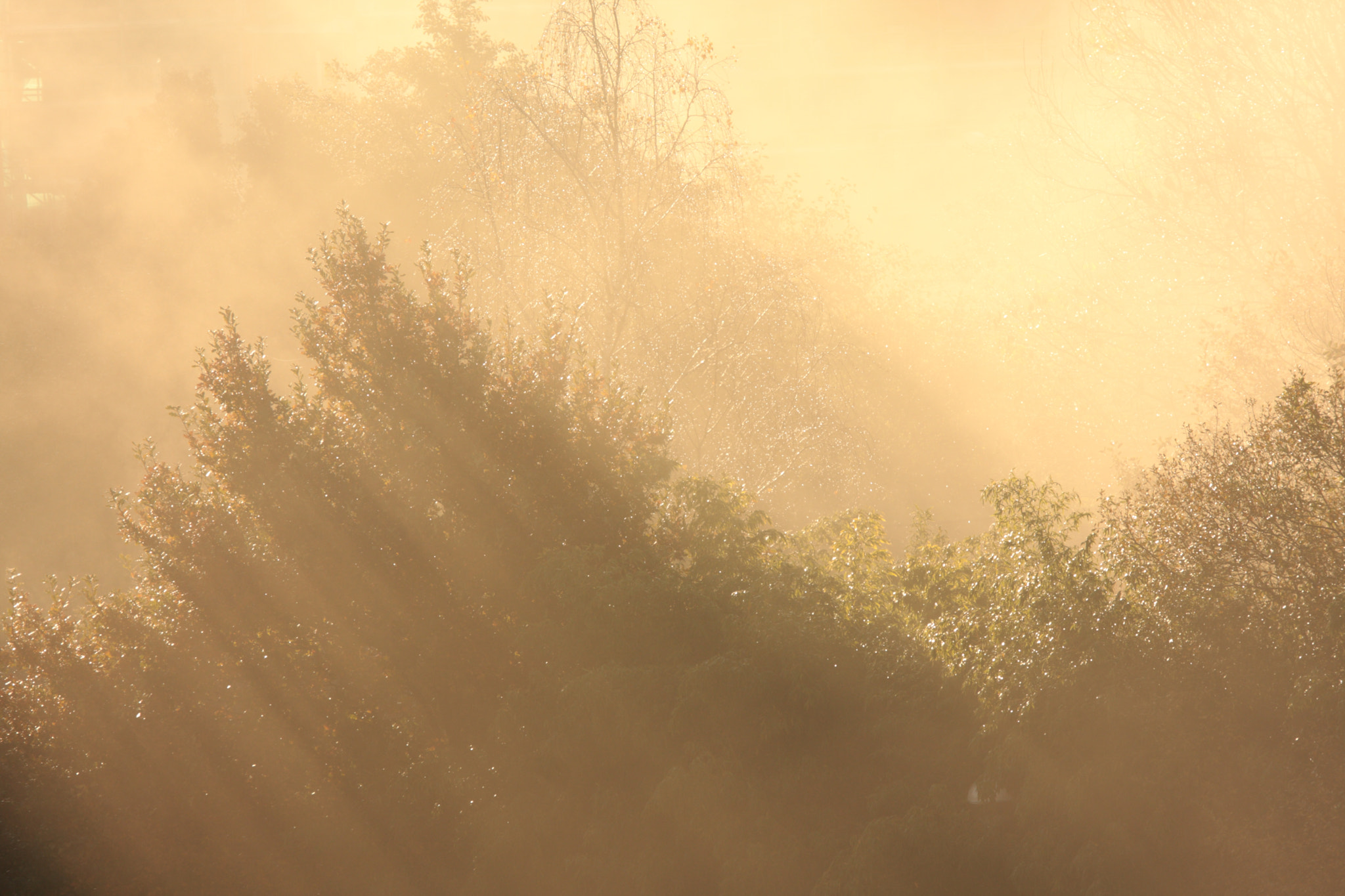 Sigma 70-200mm F2.8 EX DG OS HSM sample photo. Sombras de amanecer  photography