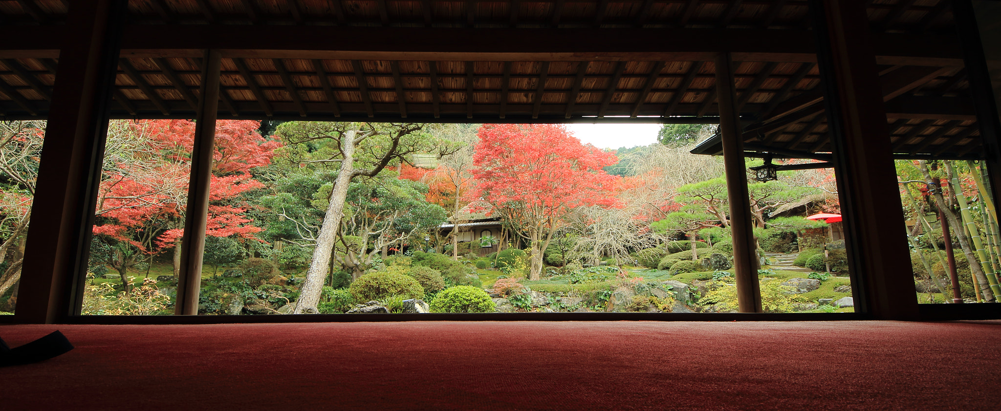 Sigma 8-16mm F4.5-5.6 DC HSM sample photo. 040.1.jpg photography