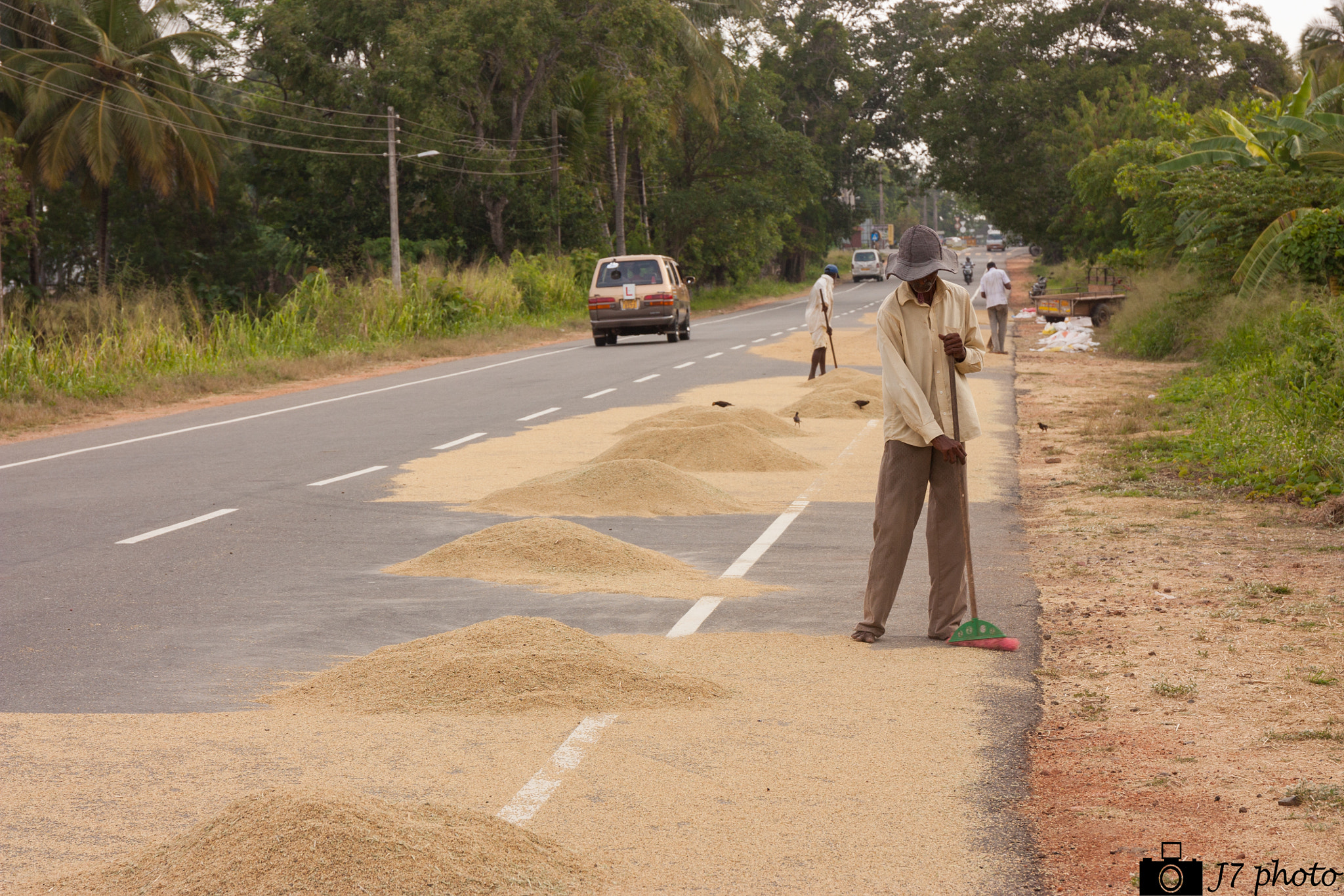 Canon EF 24-70mm F4L IS USM sample photo. Man working rice photography