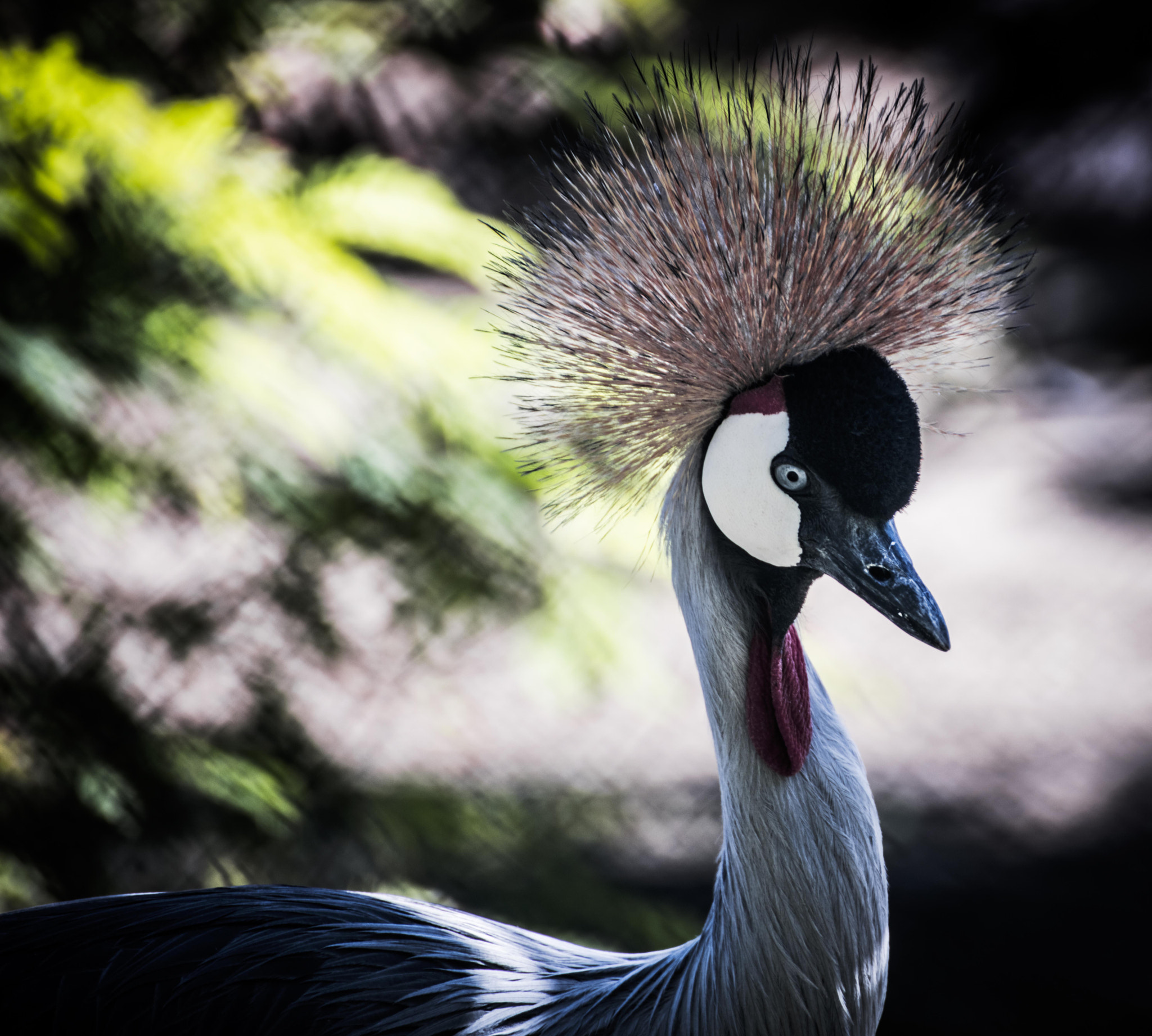 Canon EOS 5DS sample photo. 3f1a9647.jpg photography