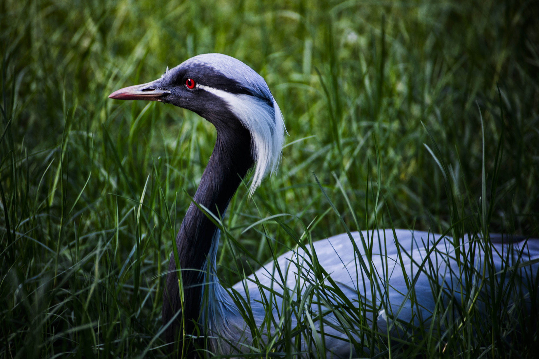 Canon EOS 5DS sample photo. 3f1a9652.jpg photography