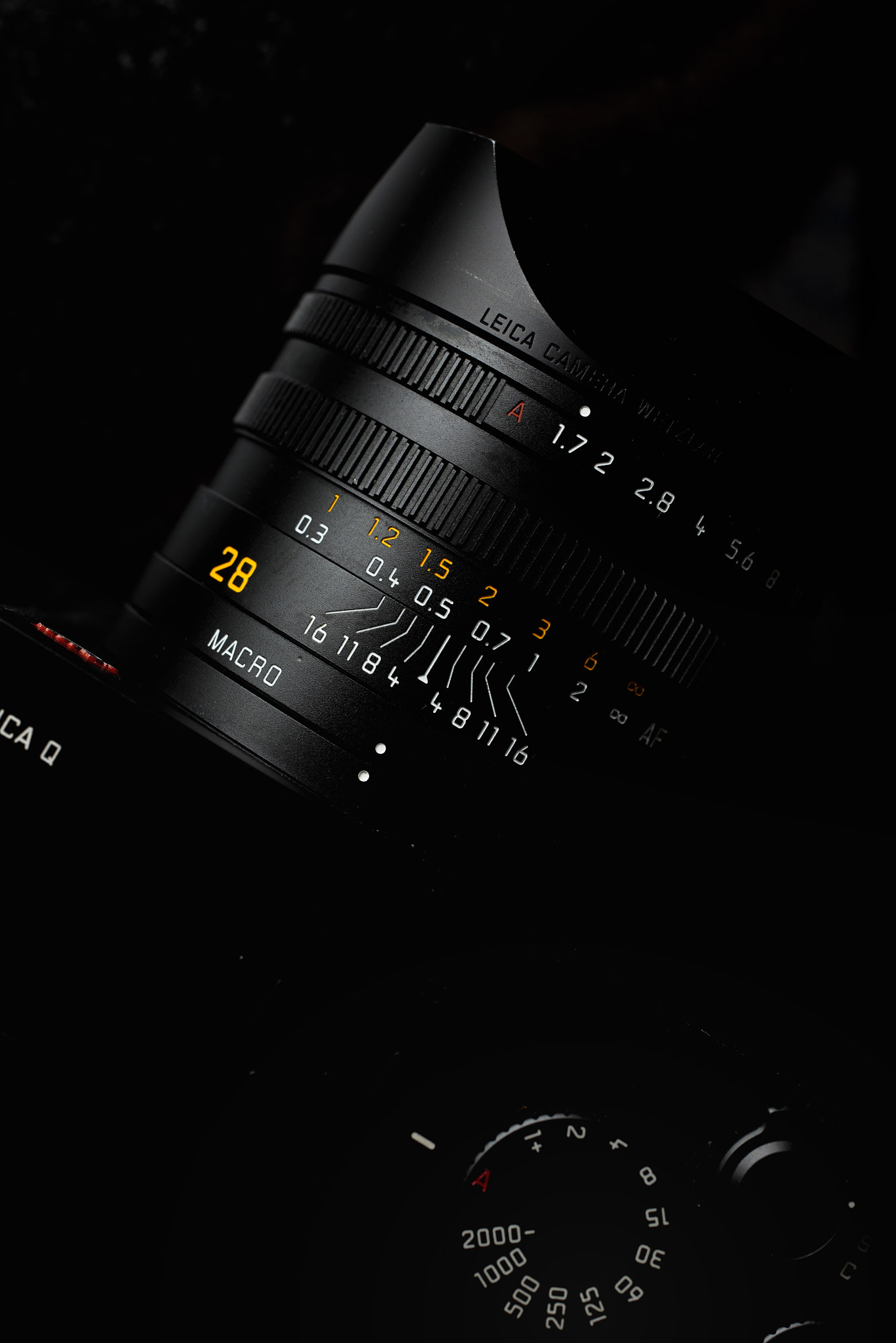 ZEISS Makro-Planar T* 50mm F2 sample photo. Leica q photography