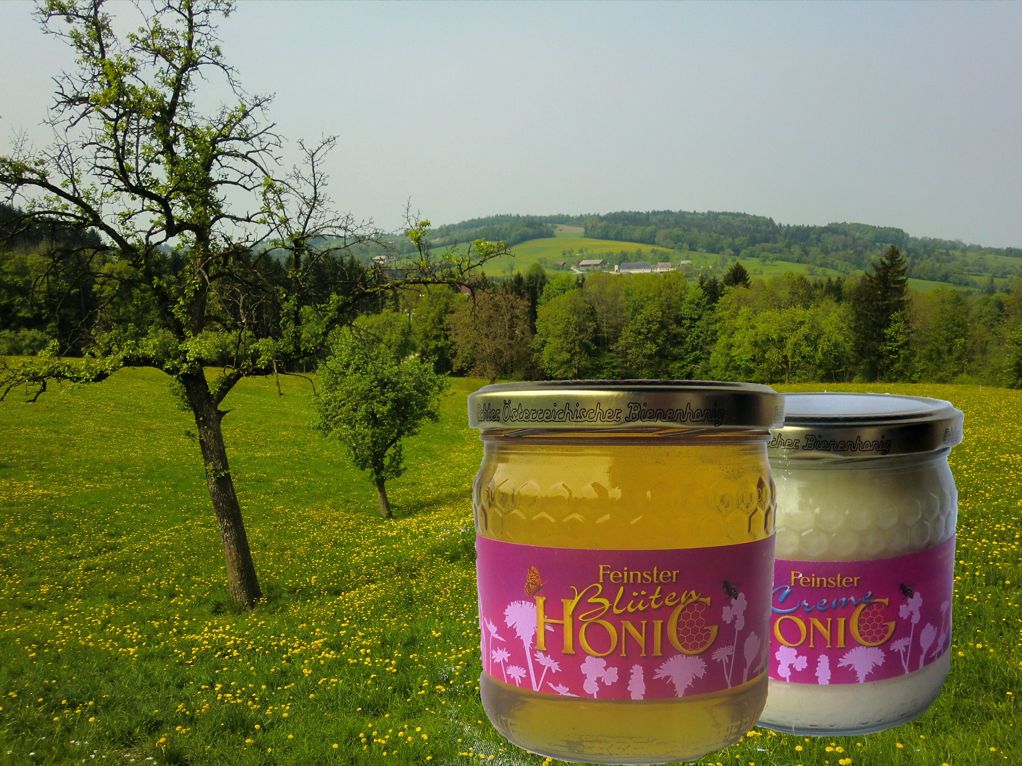 CASIO EX-Z2000 sample photo. Honigproduktion,bienen photography