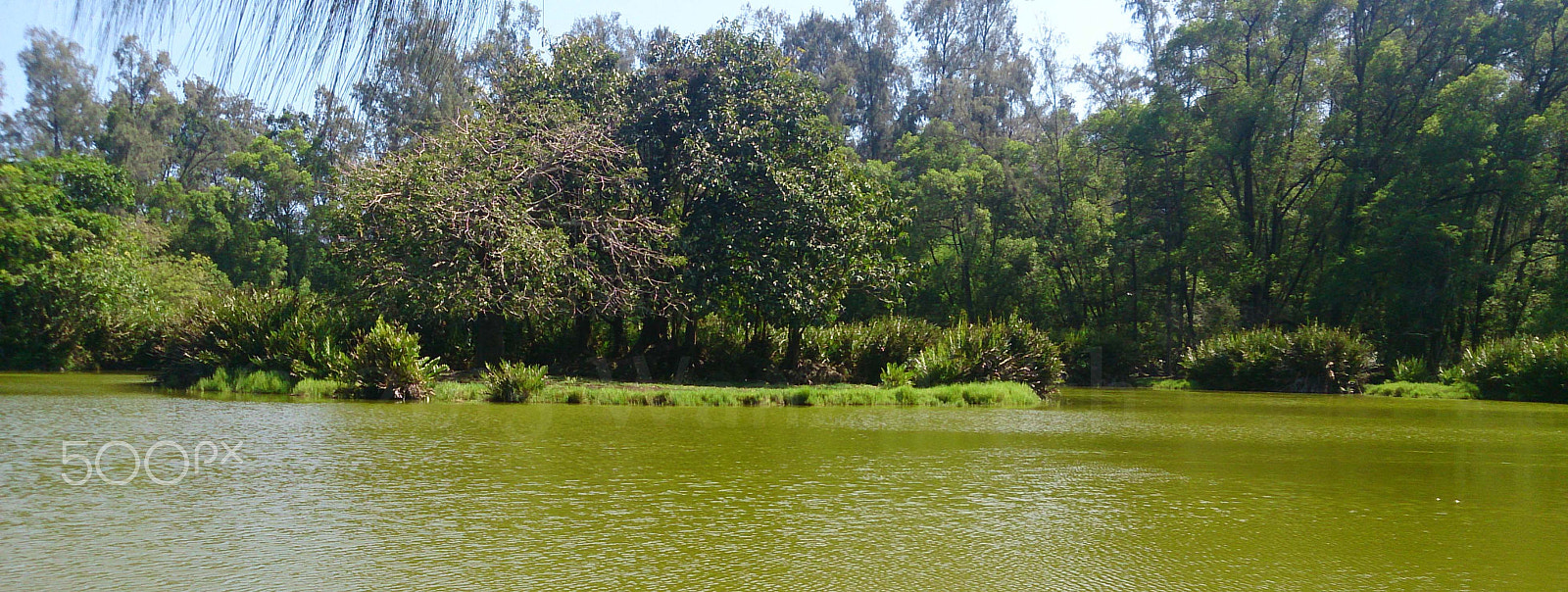 Sony Xperia ZR sample photo. Haller park, kenya photography