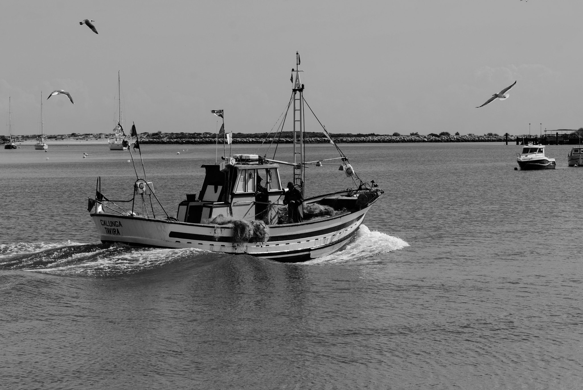Nikon D40X + Sigma 70-300mm F4-5.6 DG OS sample photo. Going fish photography