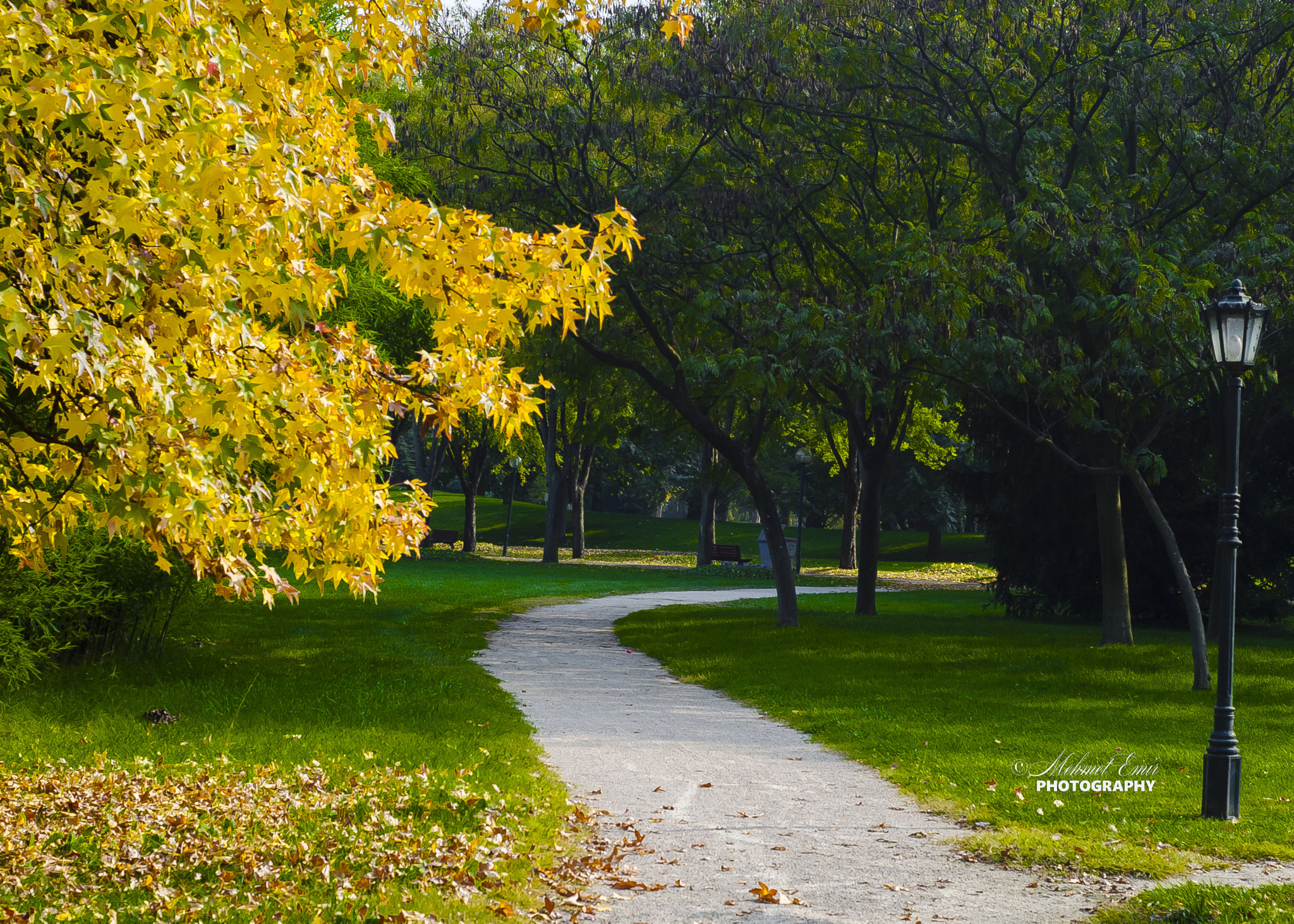 Nikon D5100 + Nikon AF Nikkor 50mm F1.8D sample photo. Bursa-botanik park photography