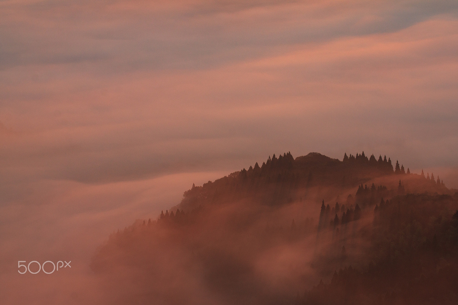 Canon EOS 500D (EOS Rebel T1i / EOS Kiss X3) sample photo. Foggy morning photography