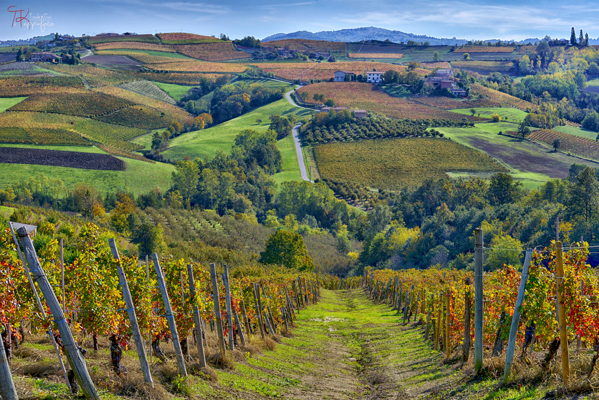 Nikon D800 + Nikon AF Nikkor 105mm F2D DC sample photo. Vineyard landscape in piedmont photography