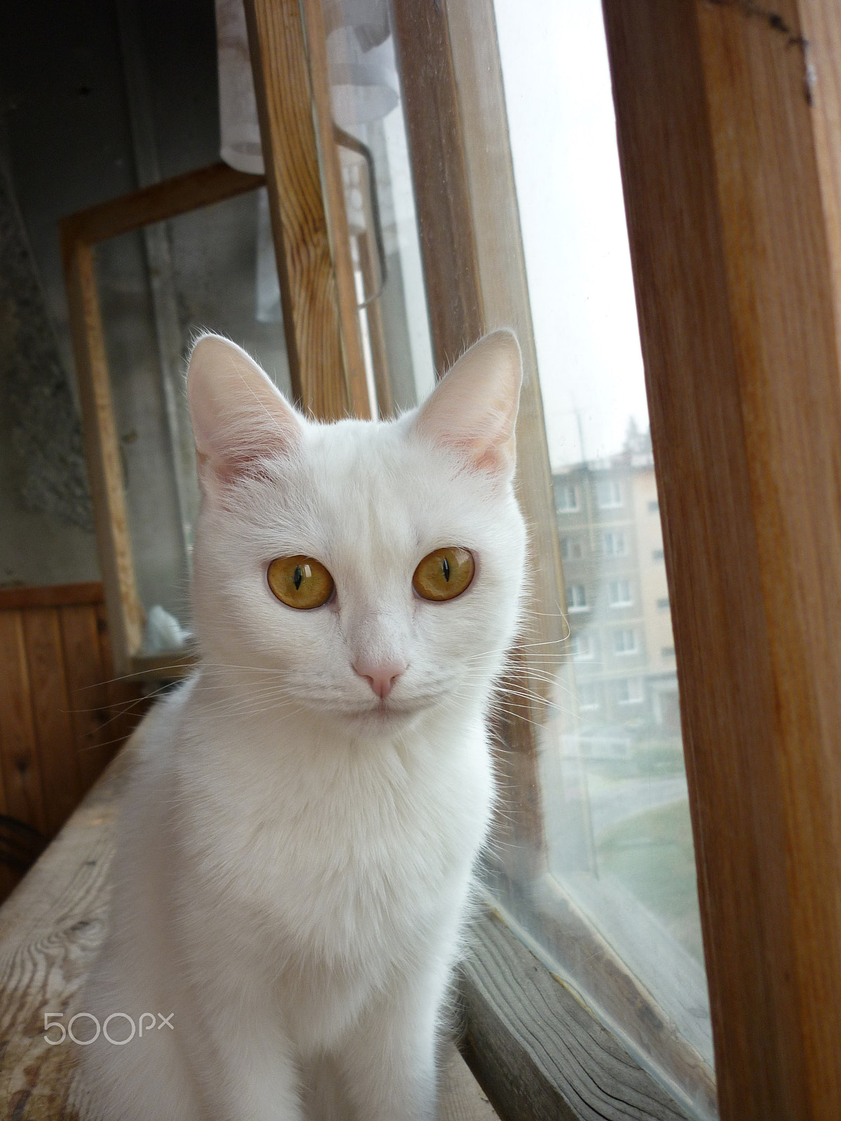 Panasonic DMC-FS42 sample photo. () photography