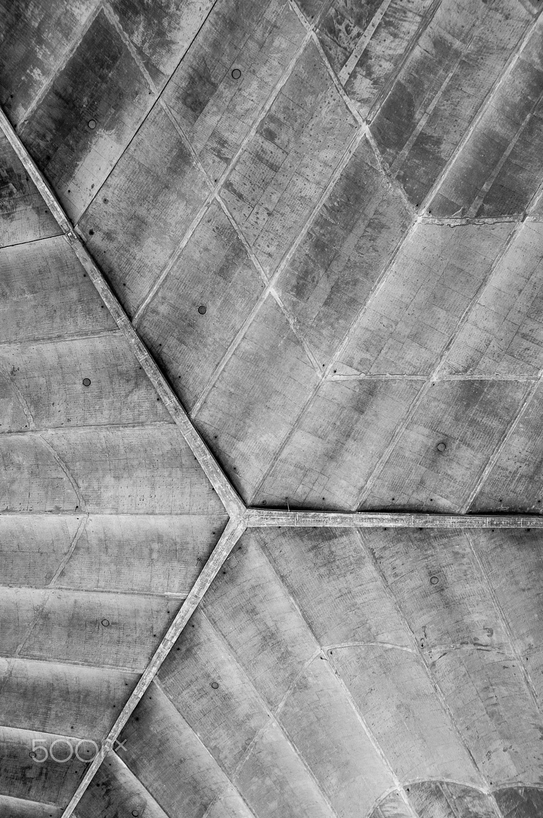 Pentax K20D + Pentax smc DA 14mm F2.8 ED (IF) sample photo. Concrete leaf photography