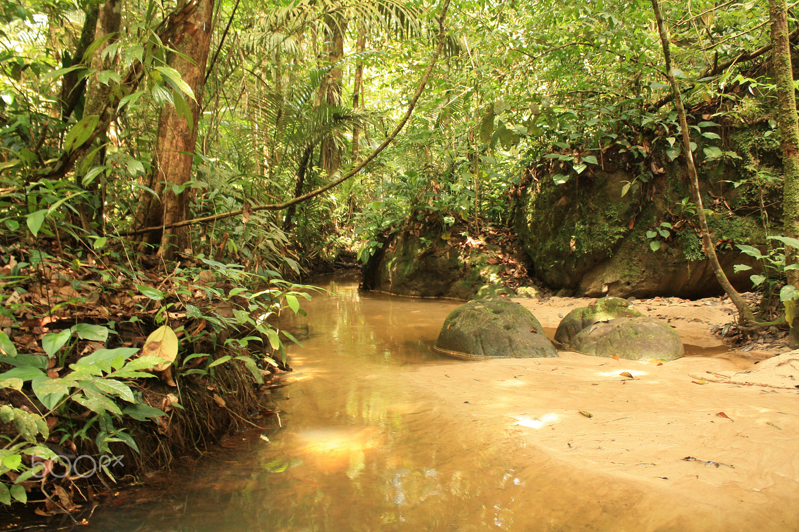 Canon EOS 1000D (EOS Digital Rebel XS / EOS Kiss F) + Canon EF 28mm F2.8 sample photo. Pedro furada waterfall amazonas photography