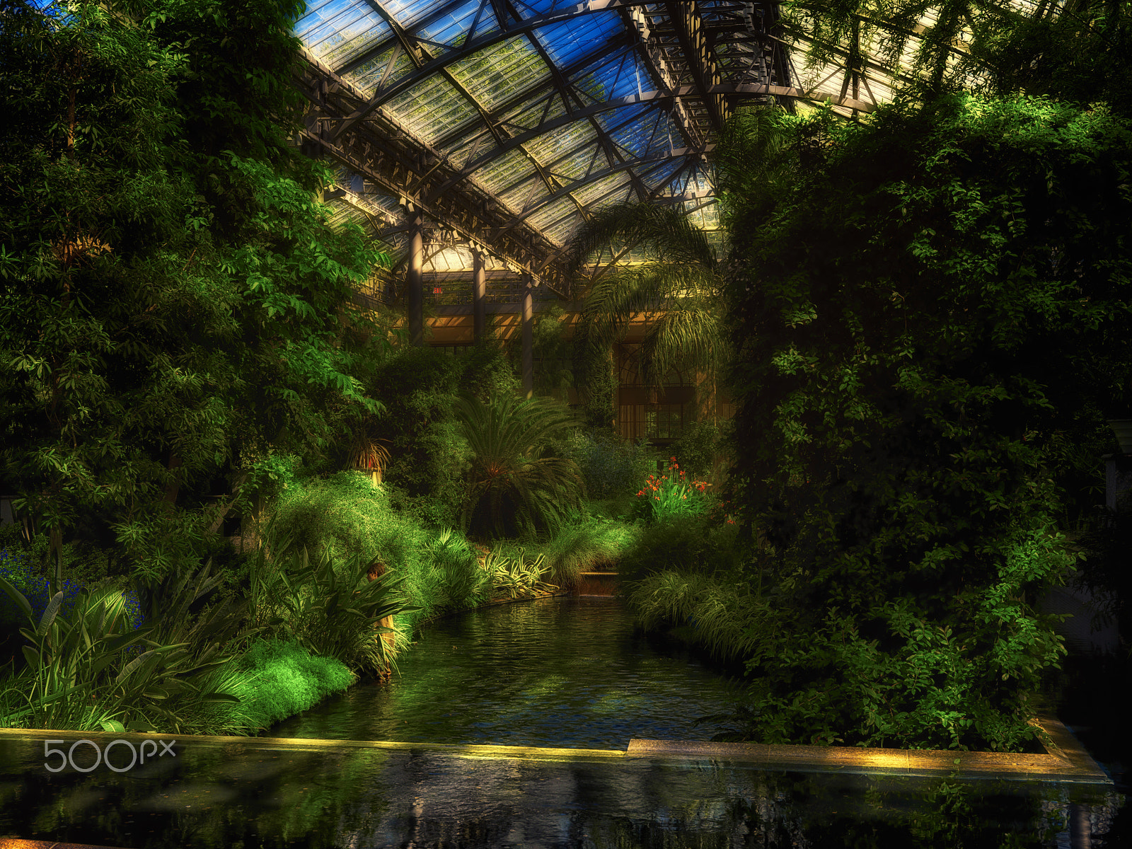 Hasselblad H4D-50 + HCD 35-90 sample photo. Longwood garden: in door plants photography