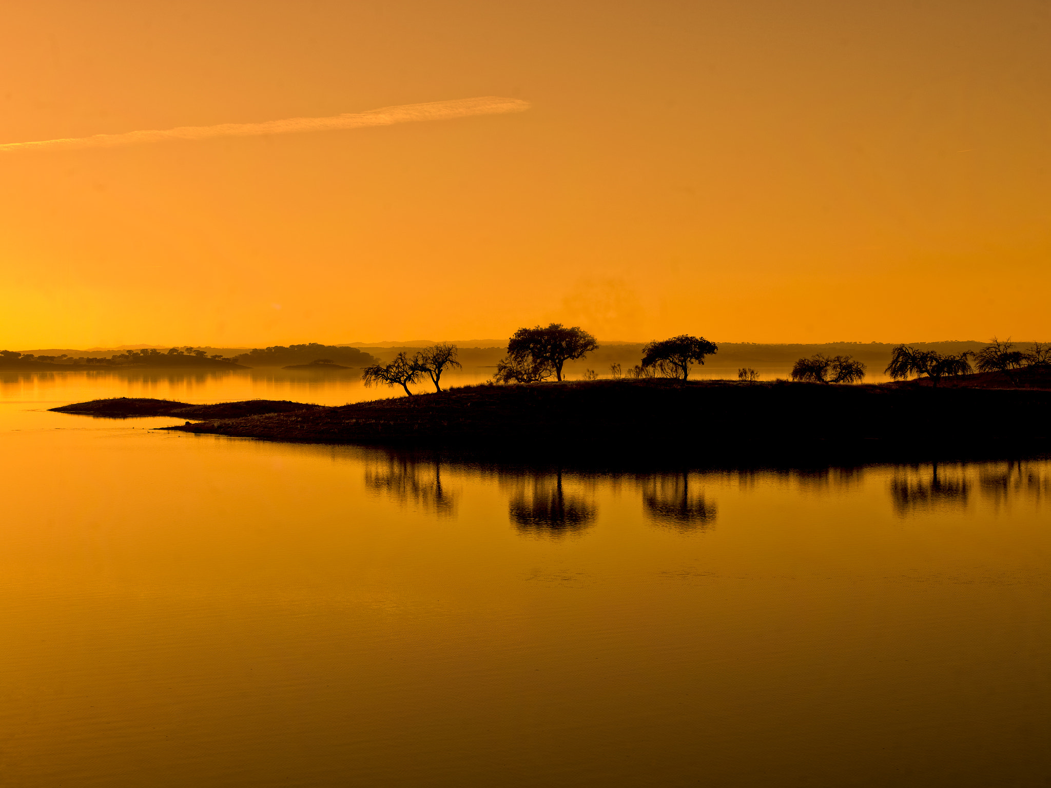 HC 50-110 sample photo. Calm photography