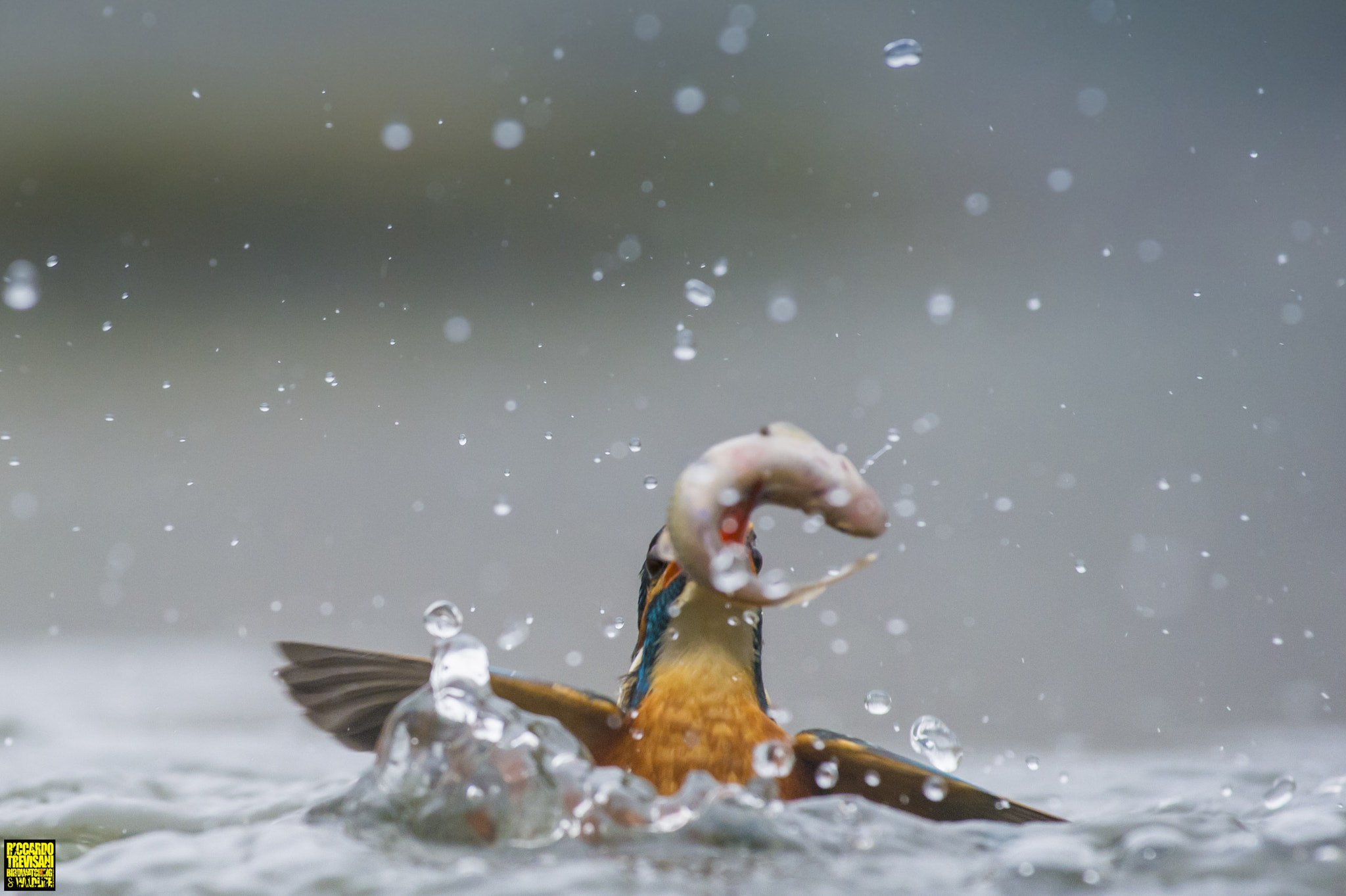 Nikon AF-S Nikkor 70-200mm F4G ED VR sample photo. Fishing in the fog photography