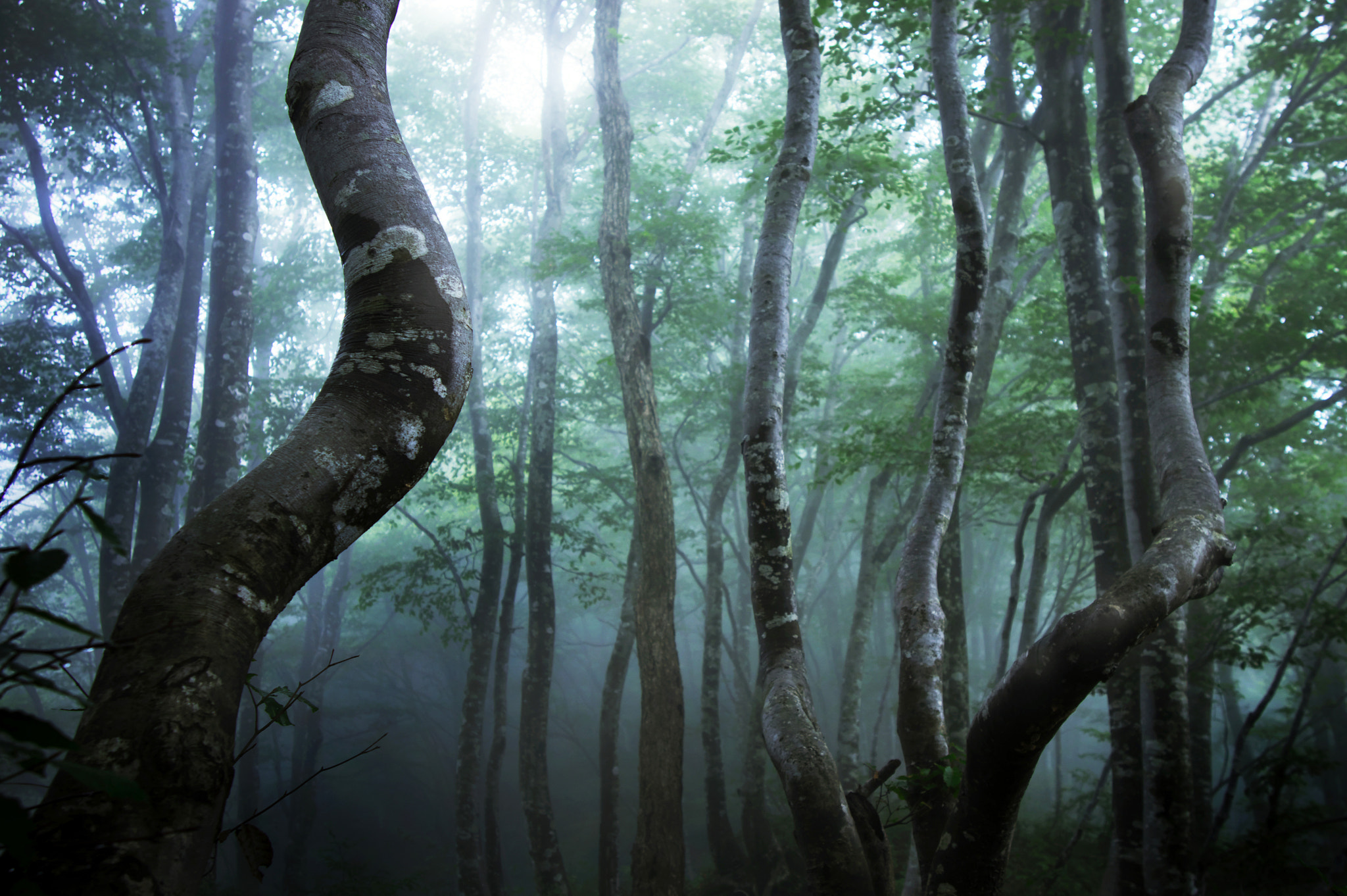 Pentax K-3 sample photo. Mt.yokoyamadake / shiga prefecture photography