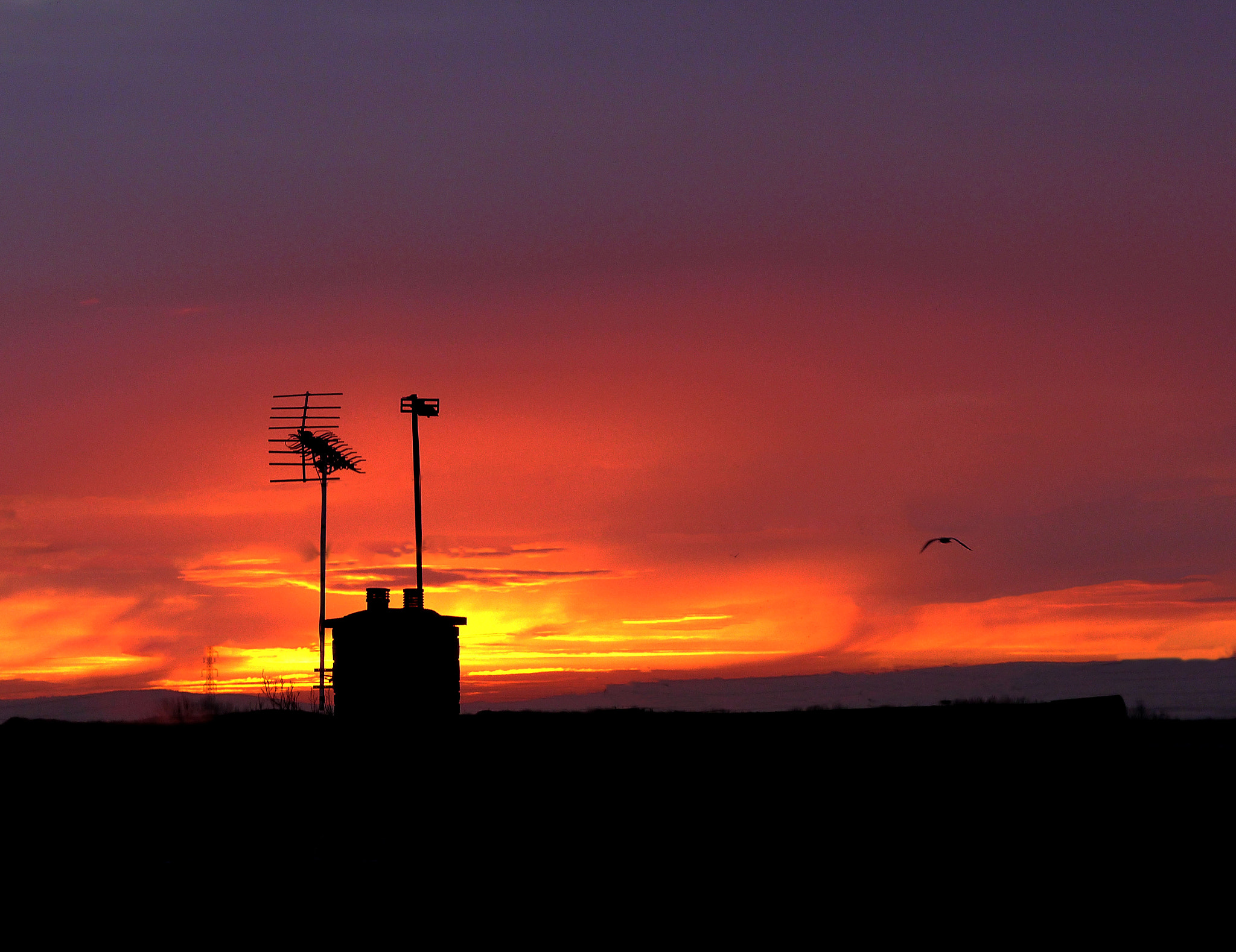 Panasonic Lumix DMC-G3 + Sigma 60mm F2.8 DN Art sample photo. Dawn over east cardiff photography