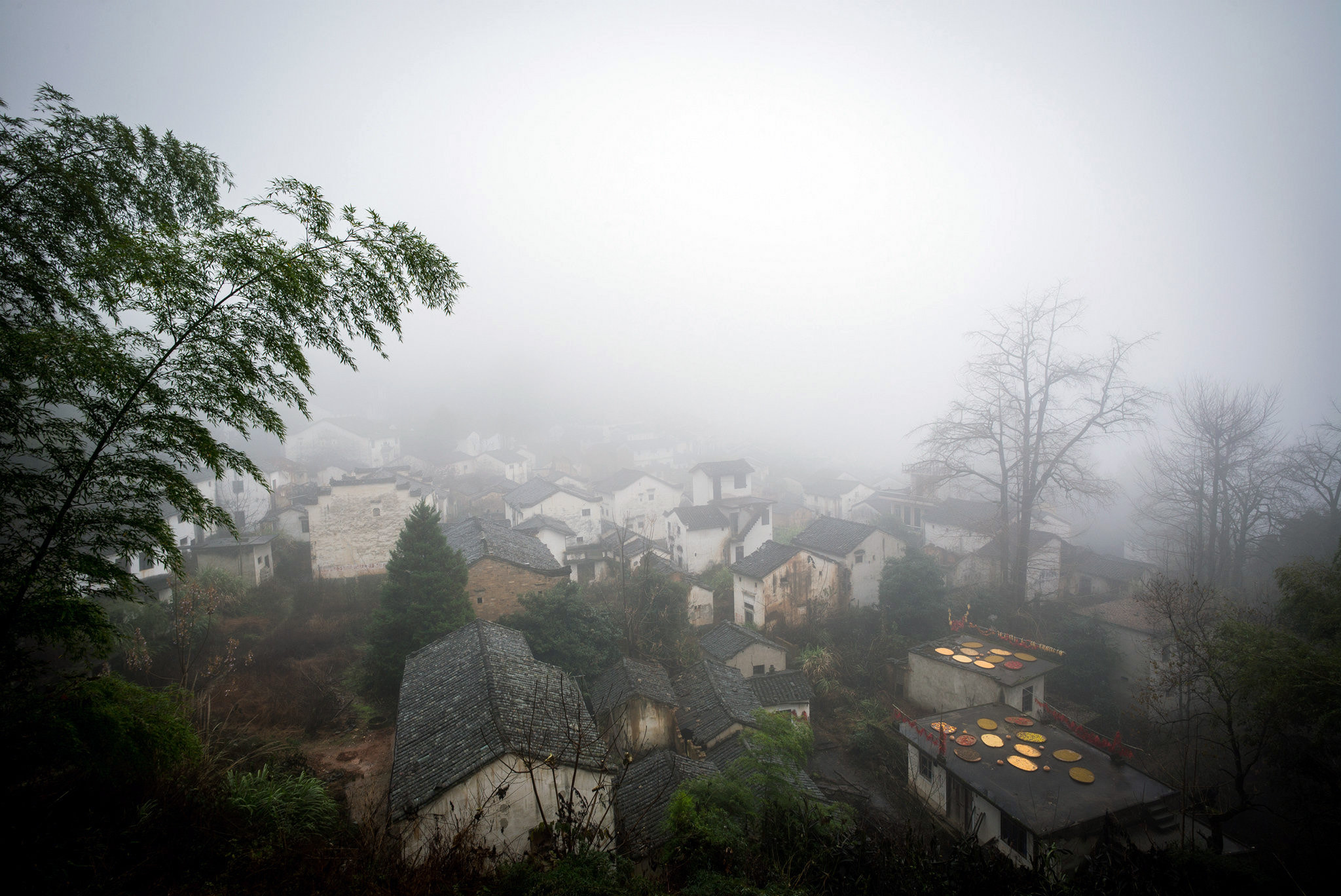 Leica Super-Elmar-M 18mm F3.8 ASPH sample photo. Misty rain in shitan photography