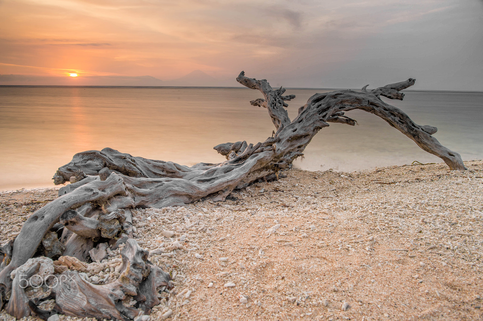 Nikon Df + Nikon AF-S Nikkor 24mm F1.4G ED sample photo. Missing tree photography