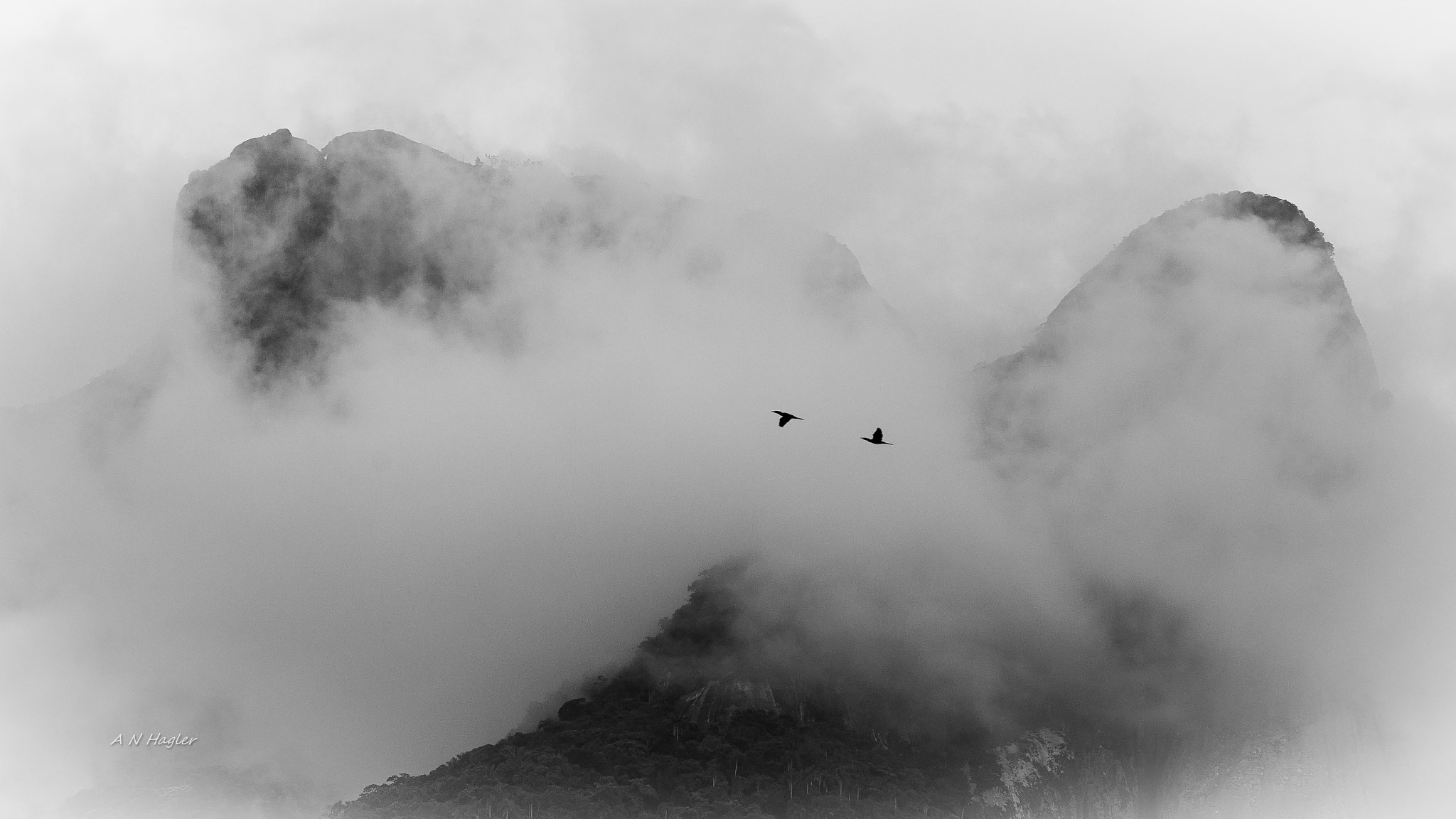 Sony 70-300mm F4.5-5.6 G SSM sample photo. Cormorants clouds & gavea rock photography
