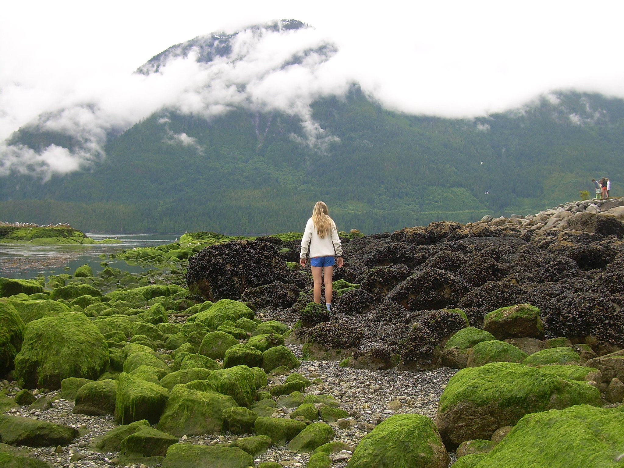 Nikon COOLPIX L4 sample photo. Scenery at beautiful malibu, canada photography