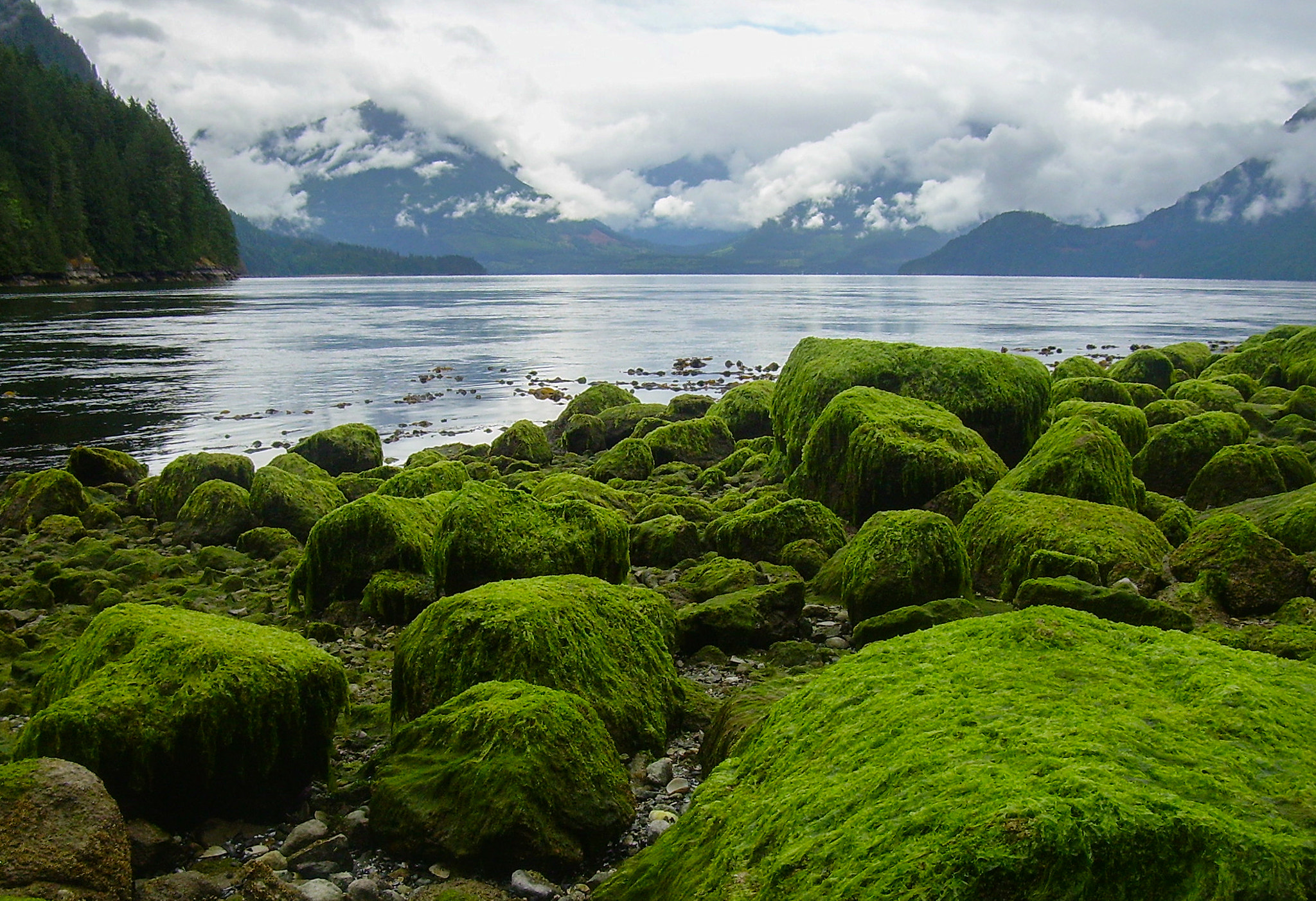 Nikon COOLPIX L4 sample photo. Scenery at beautiful malibu, canada photography