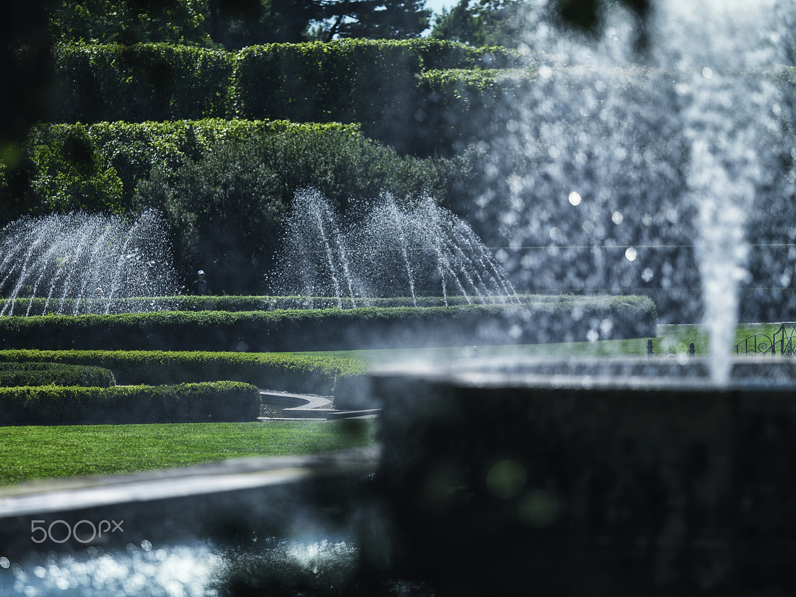 Hasselblad H4D-50 + HC 300 sample photo. Longwood garden: the water garden photography