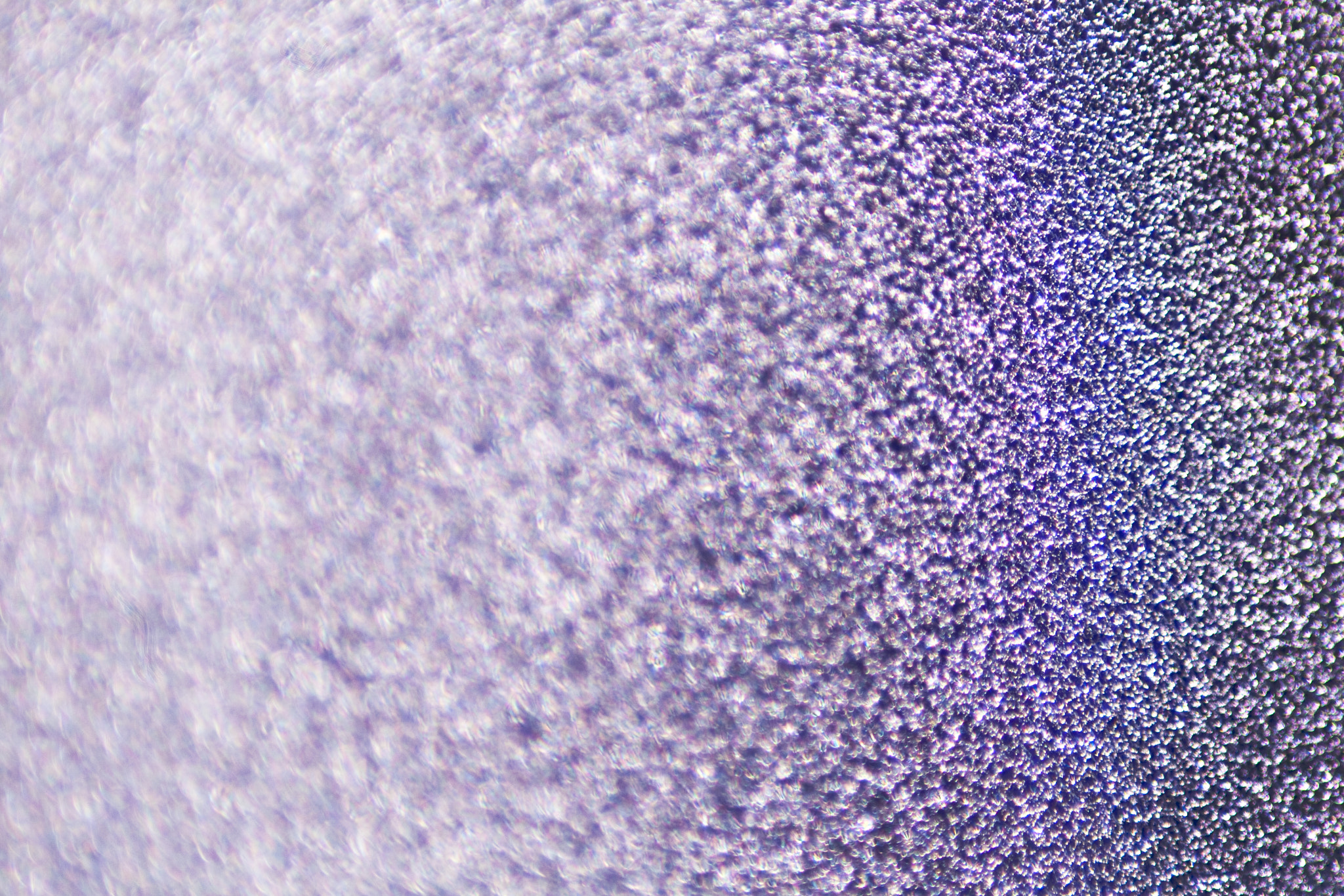 Canon EOS 400D (EOS Digital Rebel XTi / EOS Kiss Digital X) sample photo. Diamonds are a girl's best friend photography