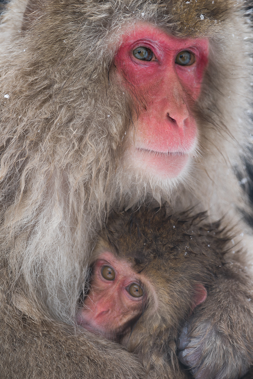 Sony 70-400mm F4-5.6 G SSM II sample photo. Mother and child photography