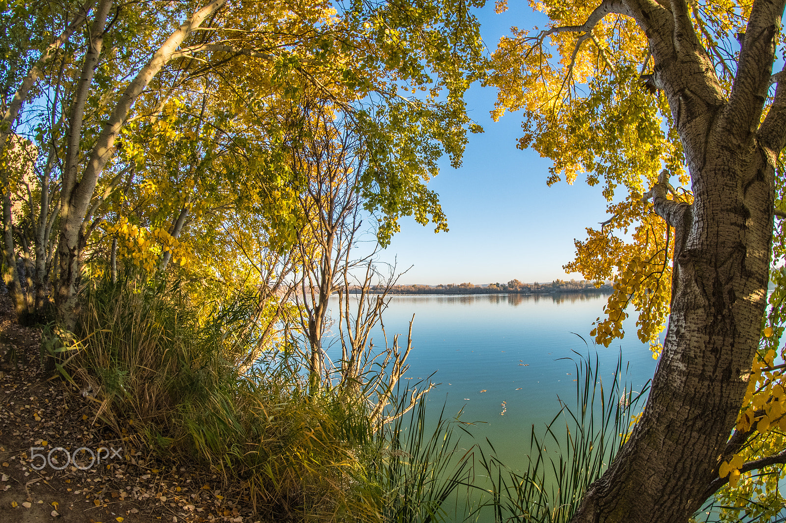 Pentax K-S2 + A Series Lens sample photo. Otoño en las lagunas photography