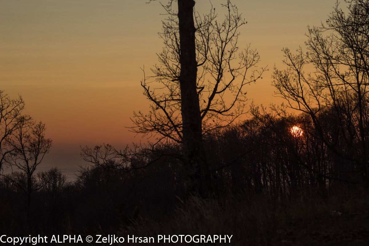 Sony a7R + Sony 70-400mm F4-5.6 G SSM sample photo. Dsc01669.jpg photography