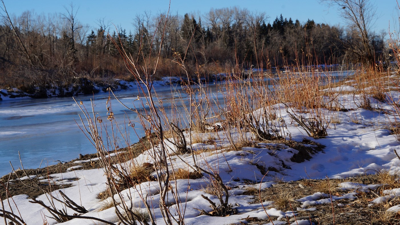 Sony Alpha NEX-3N + Sony E 50mm F1.8 OSS sample photo. By the river photography